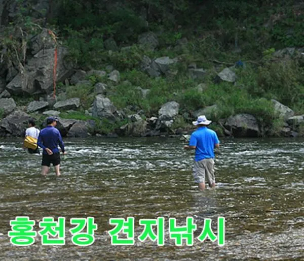 Fishing in Forest of Color Pension