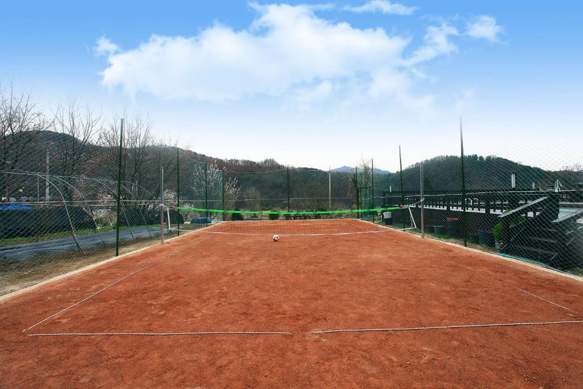 Sports in Forest of Color Pension