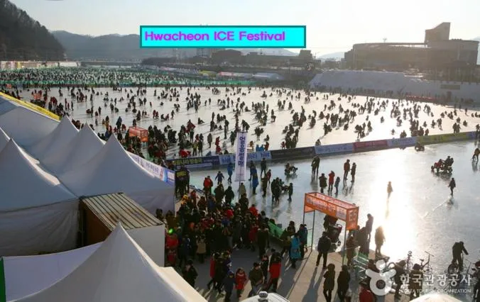 Activities in Forest of Color Pension