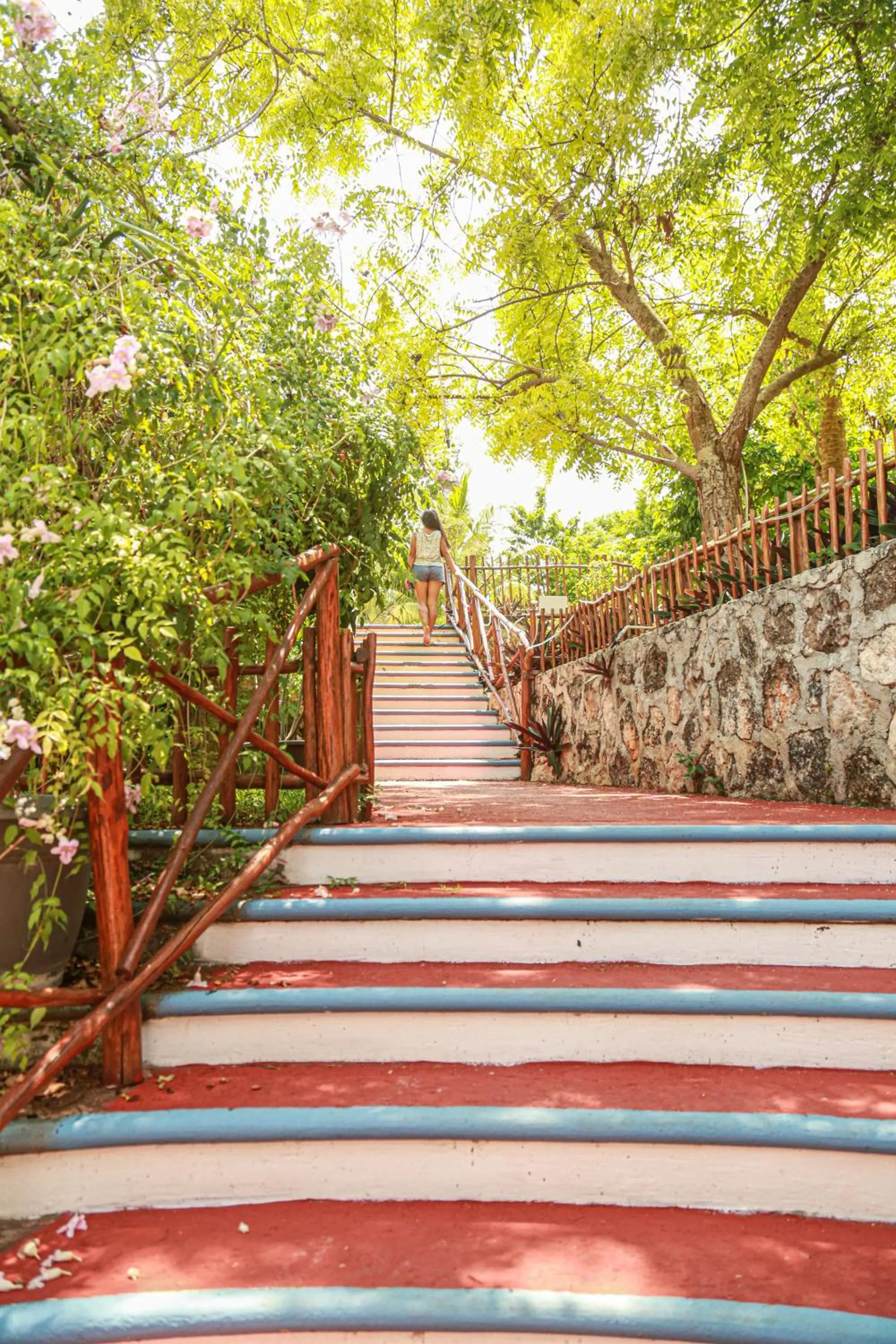 Area and facilities in Seven Blue House Village & Lodge