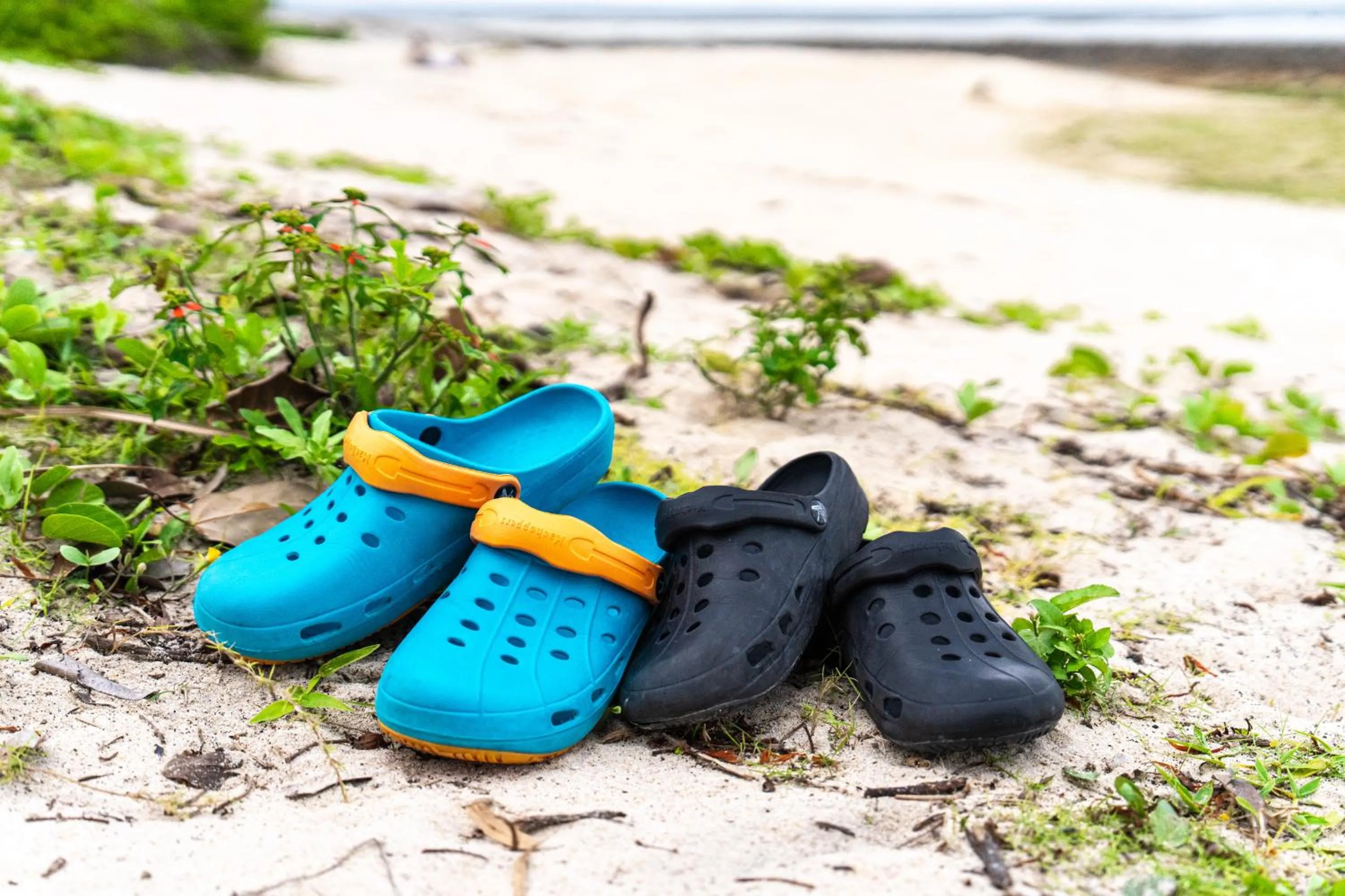 Natural landscape in Beach House Yomitan