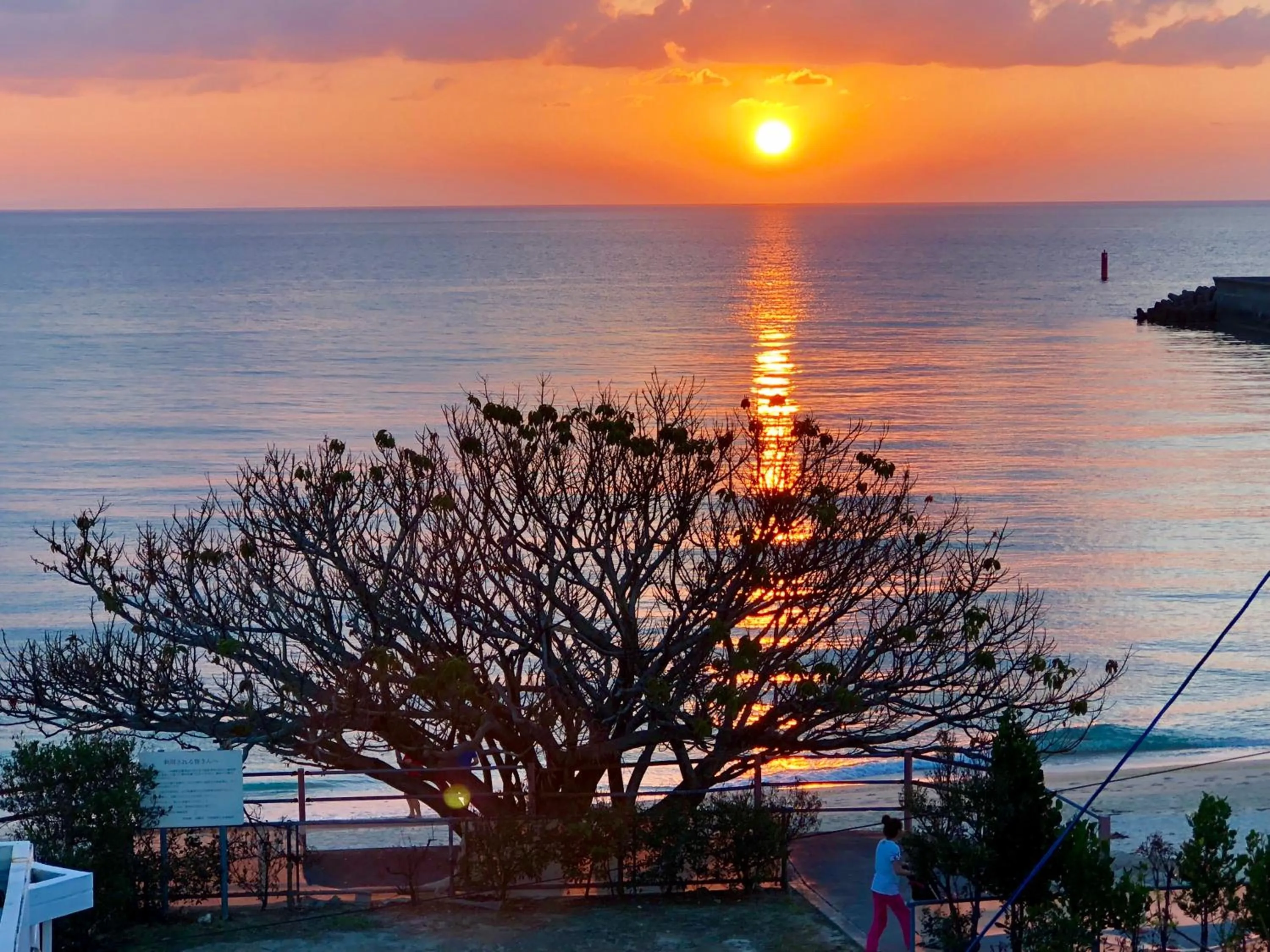 Natural landscape in Beach House Yomitan