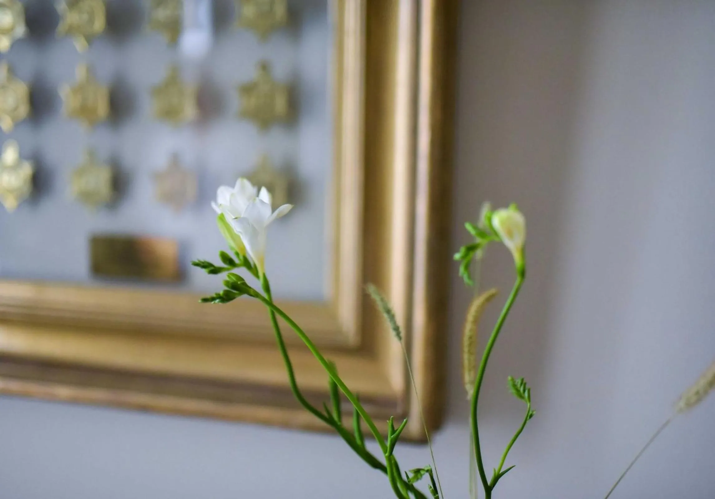 Other in Grand Hôtel du Lion d'Or