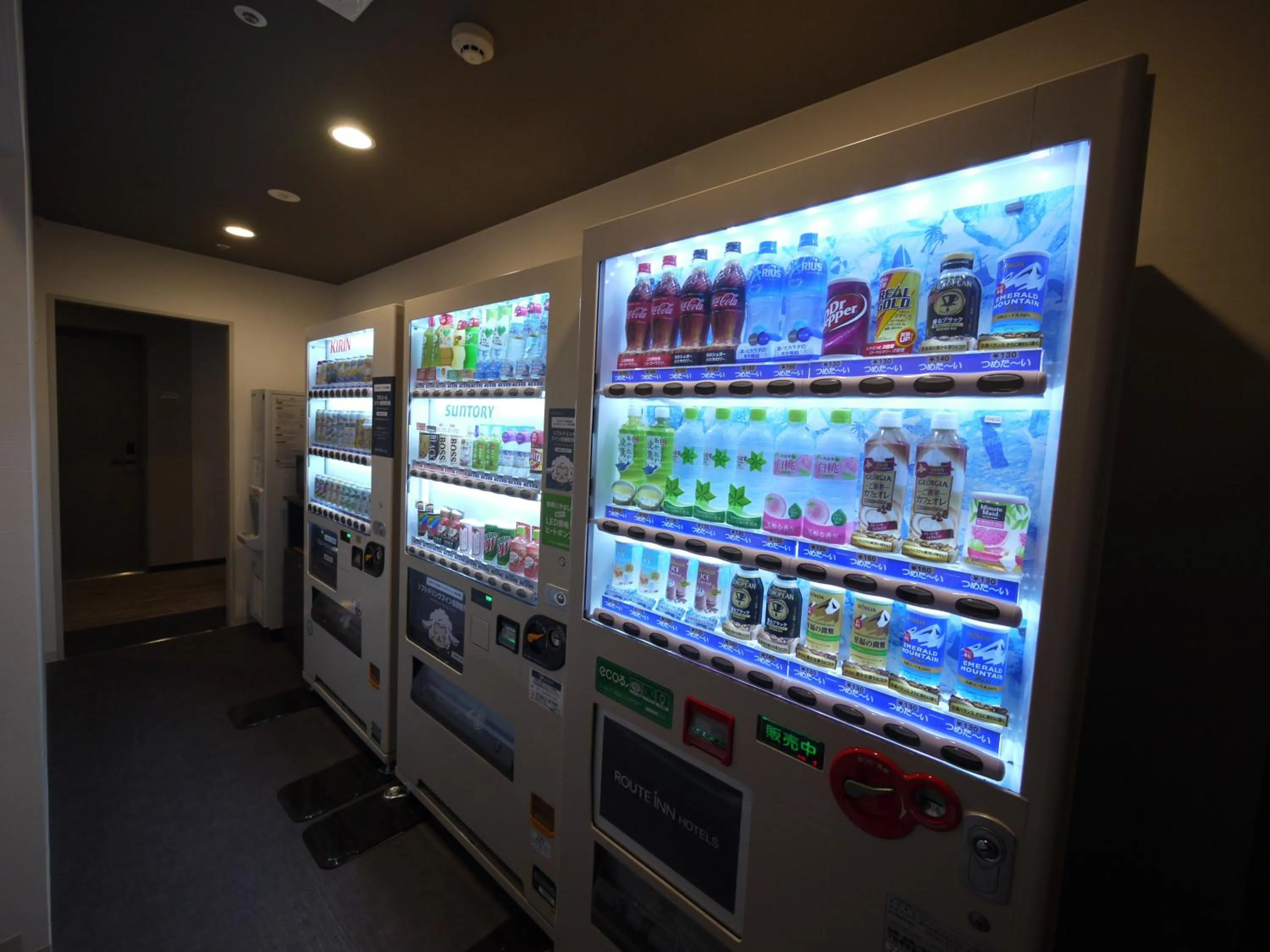 Area and facilities in Hotel Route-Inn Shinshiro