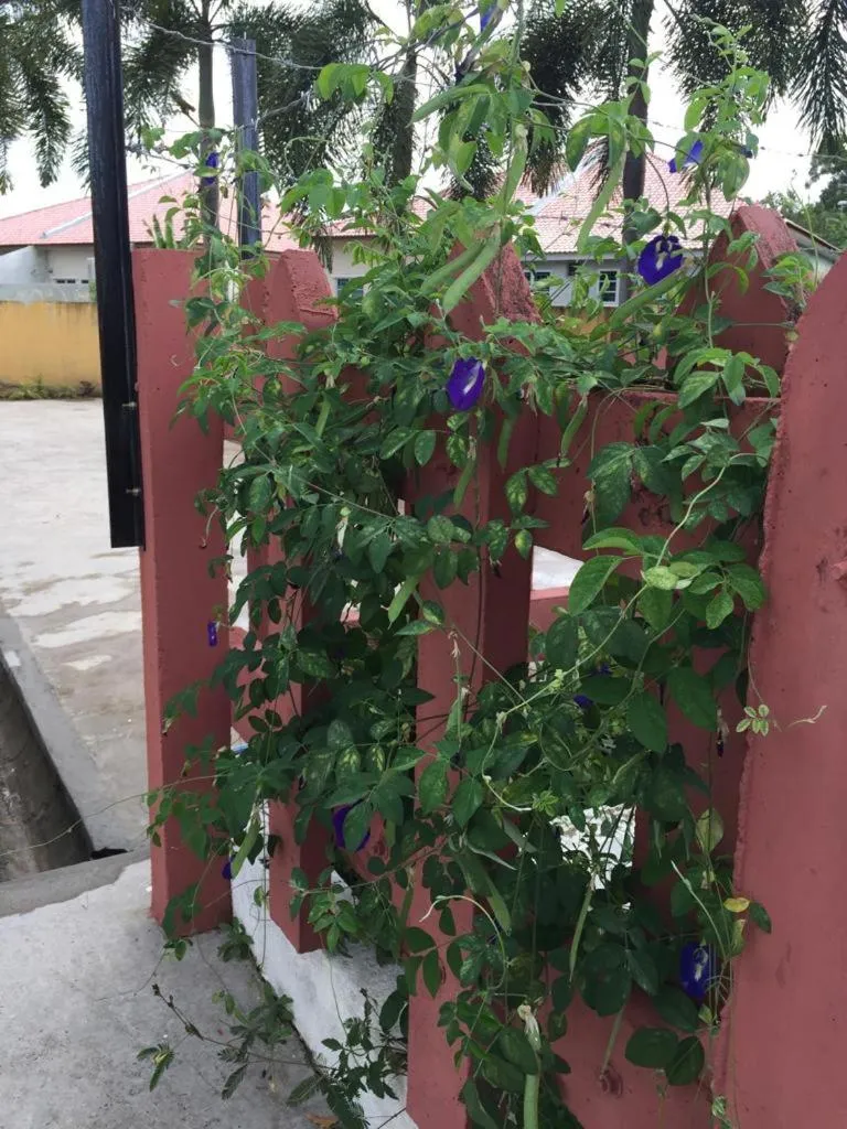 The Garden Vacation Home