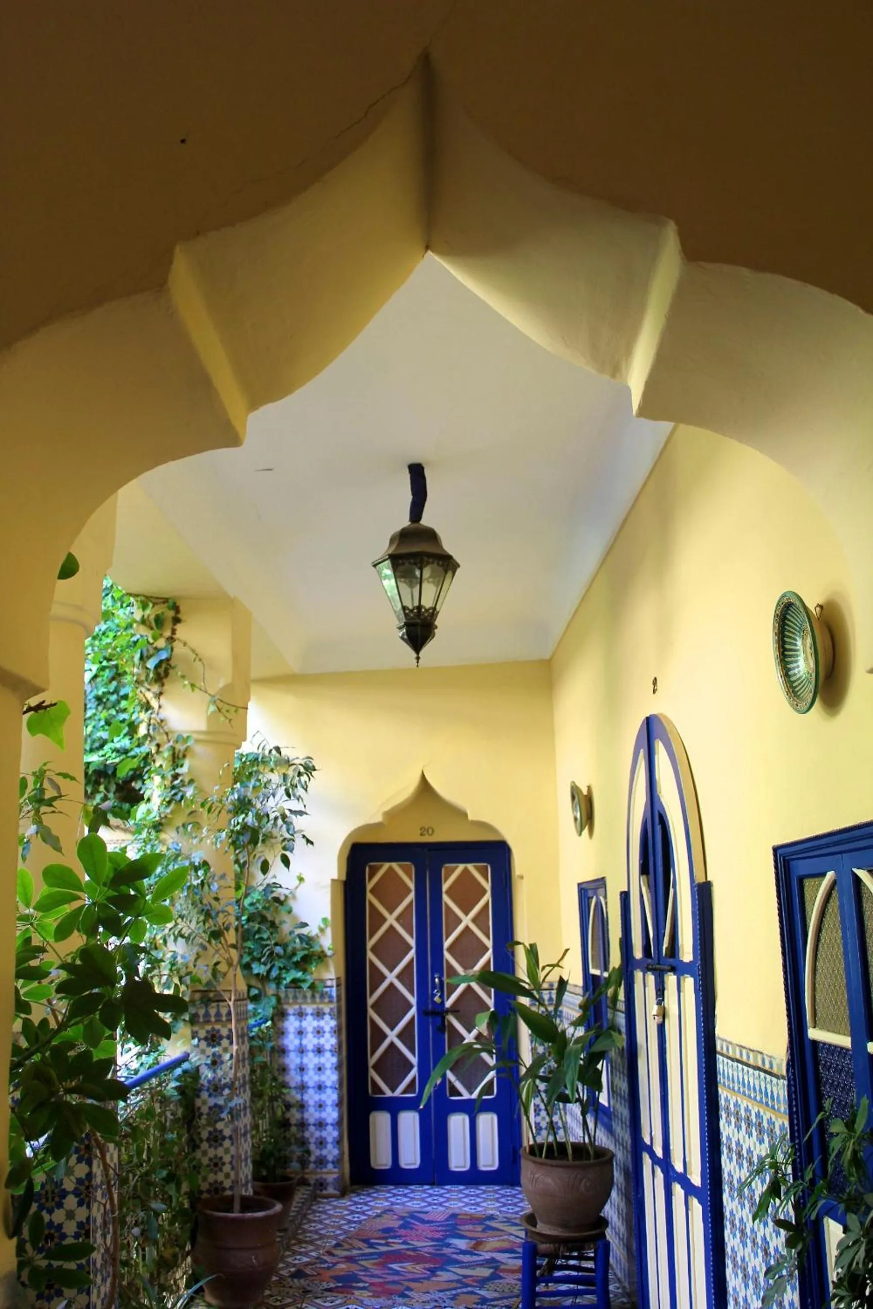Balcony/Terrace in Riad Hotel Sherazade