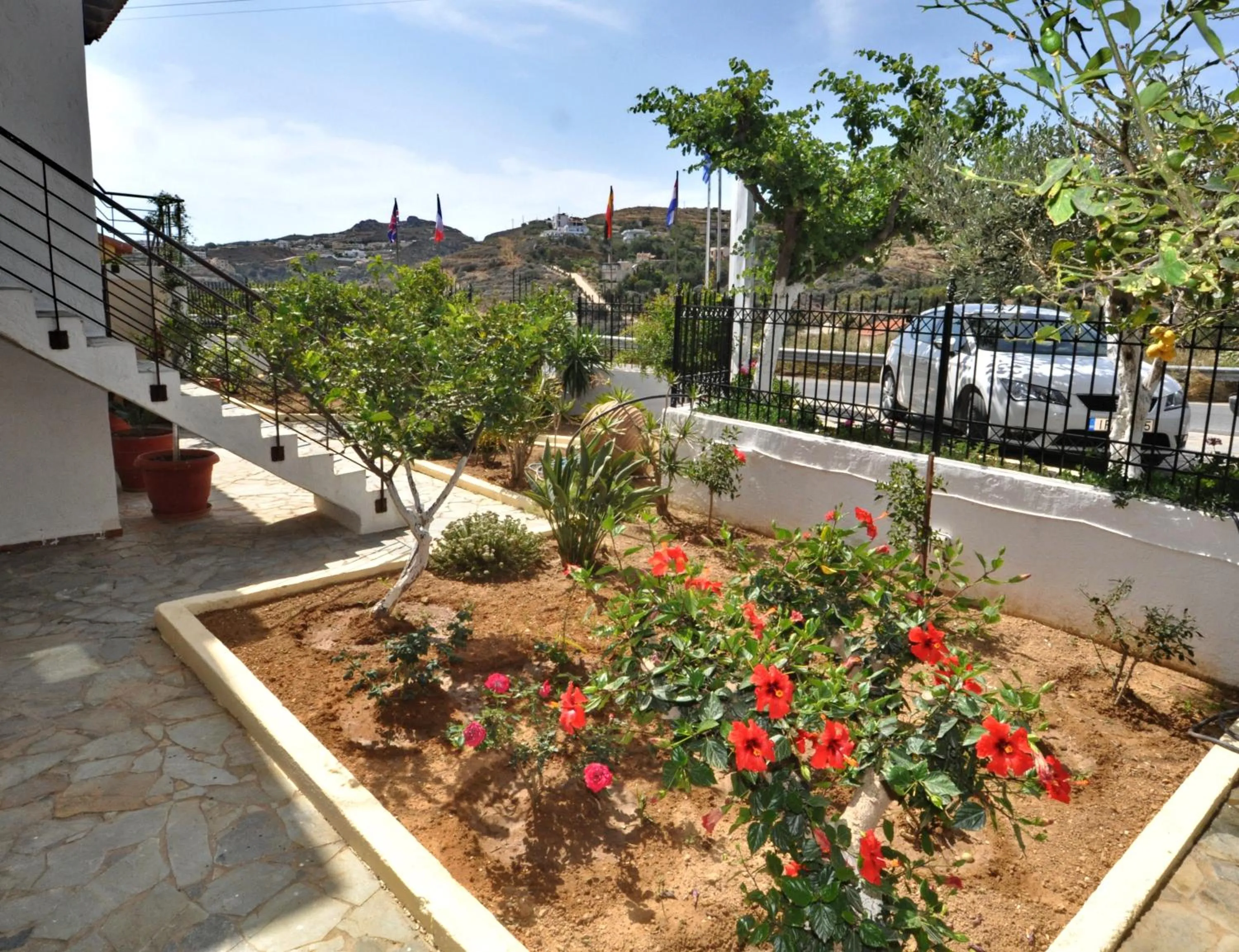 Garden in Pennystella Apartments