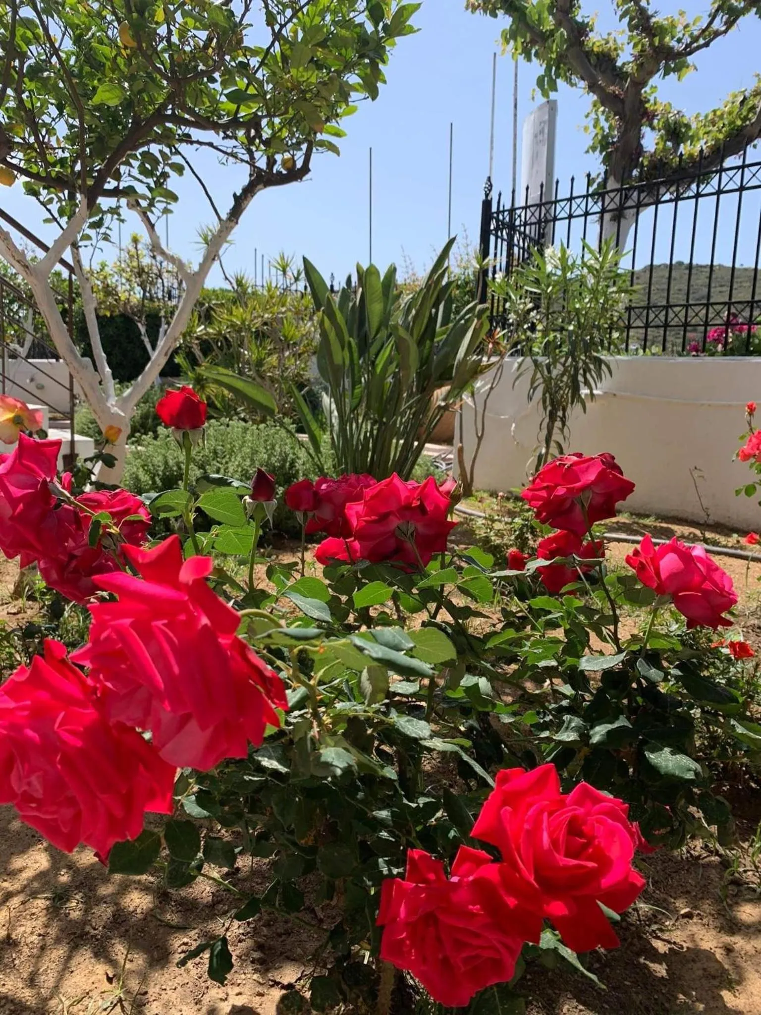 Pennystella Apartments