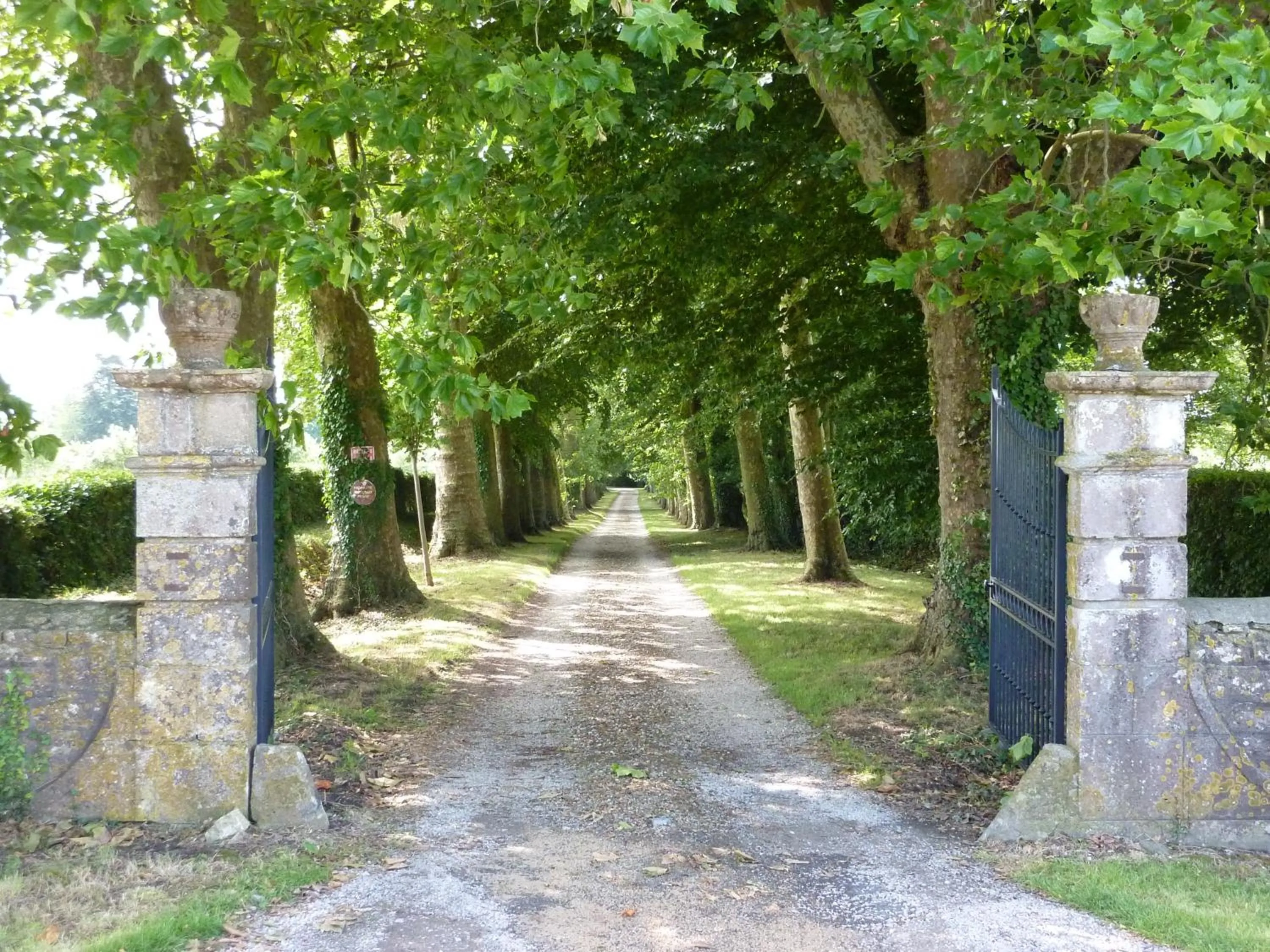 View (from property/room) in Chateau de Flottemanville