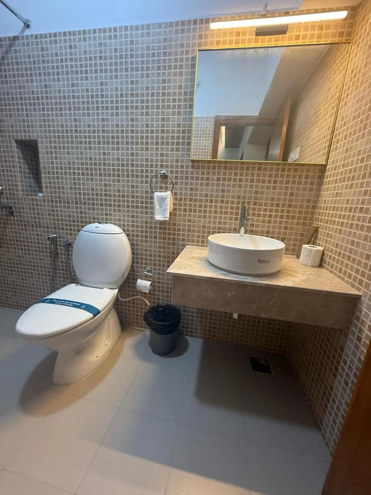 Toilet in Hanu Reddy Residences Poes Garden