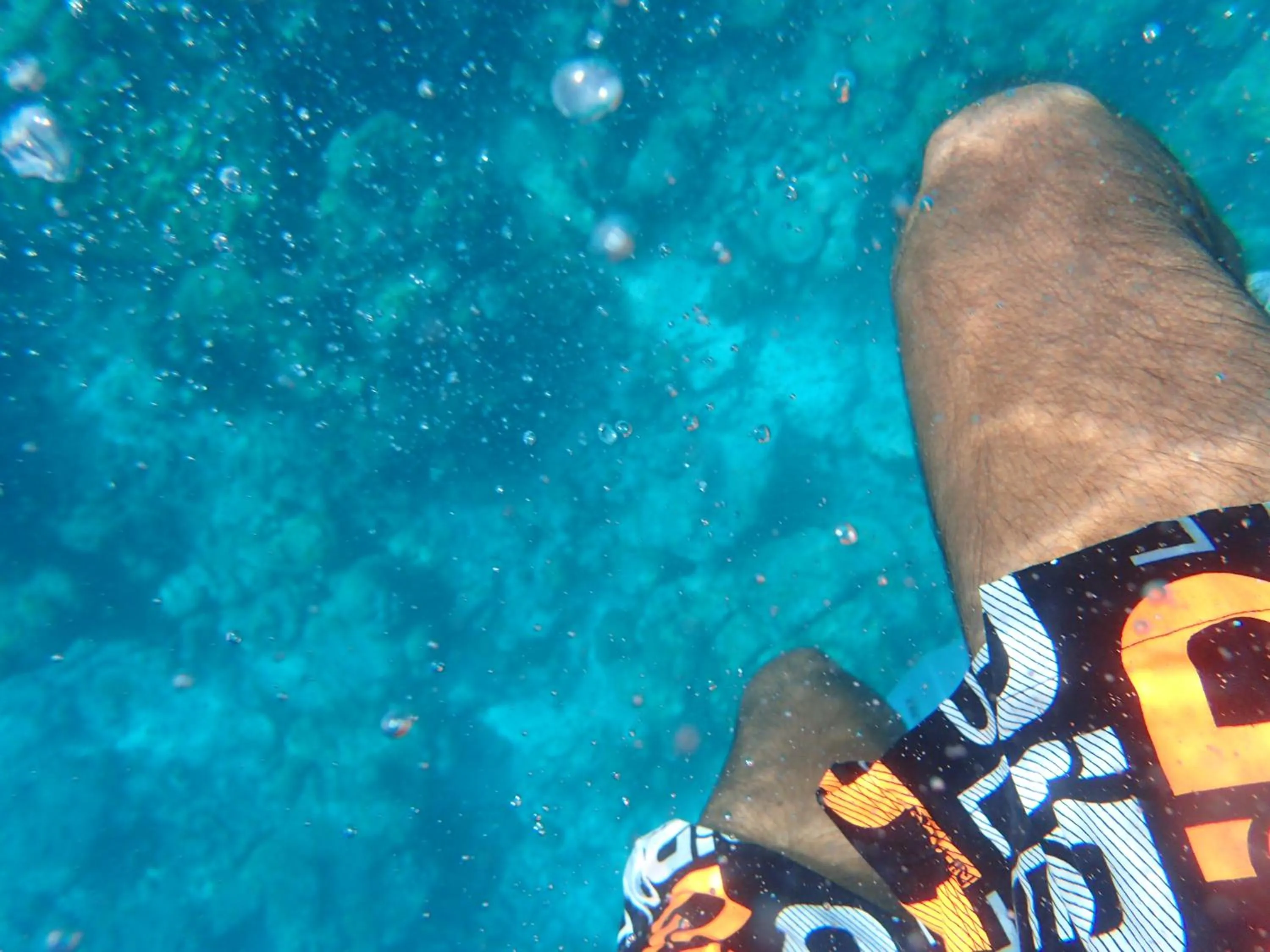 Activities in Nala Veli Beach & Spa