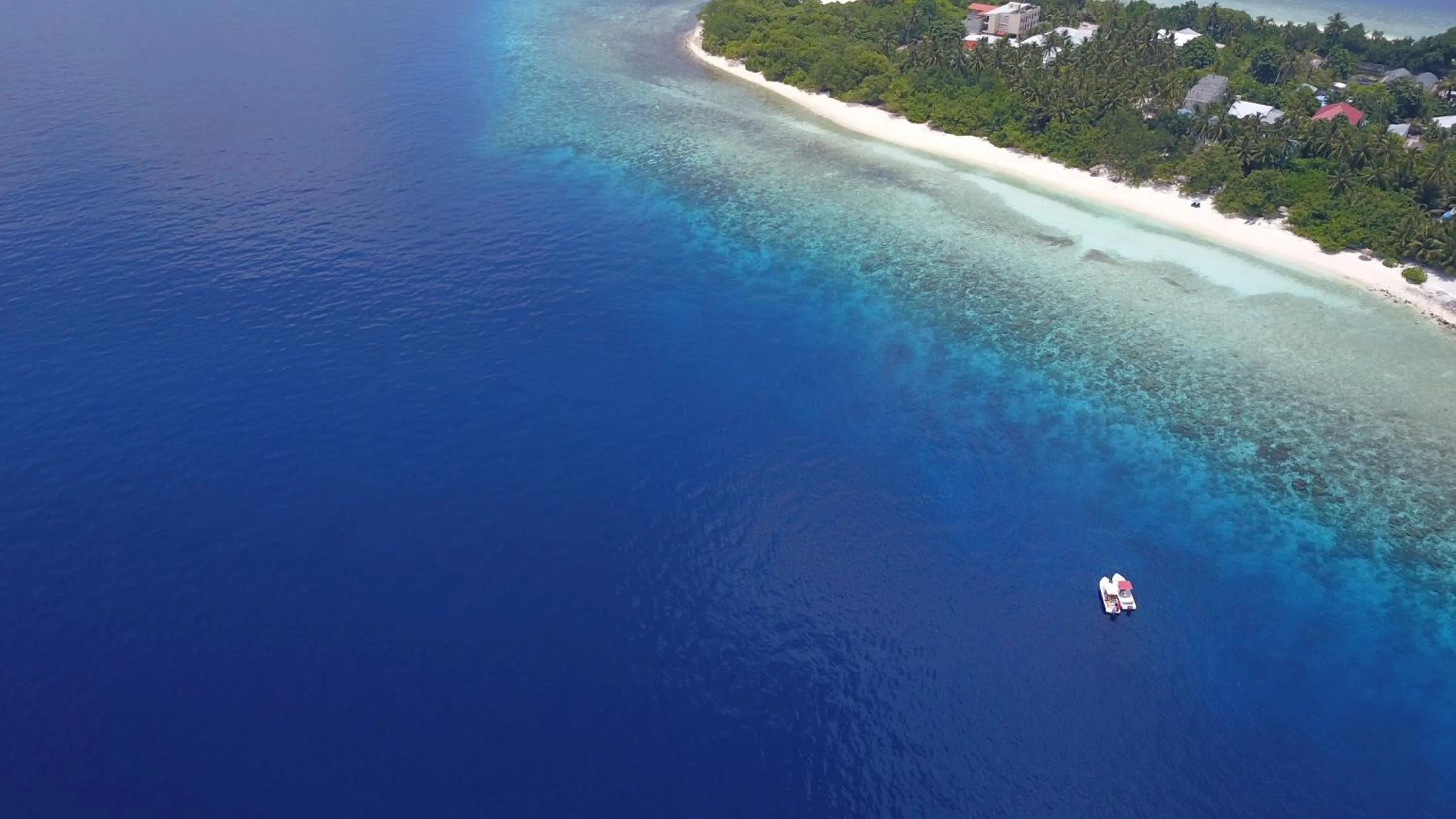 Beach in Nala Veli Beach & Spa