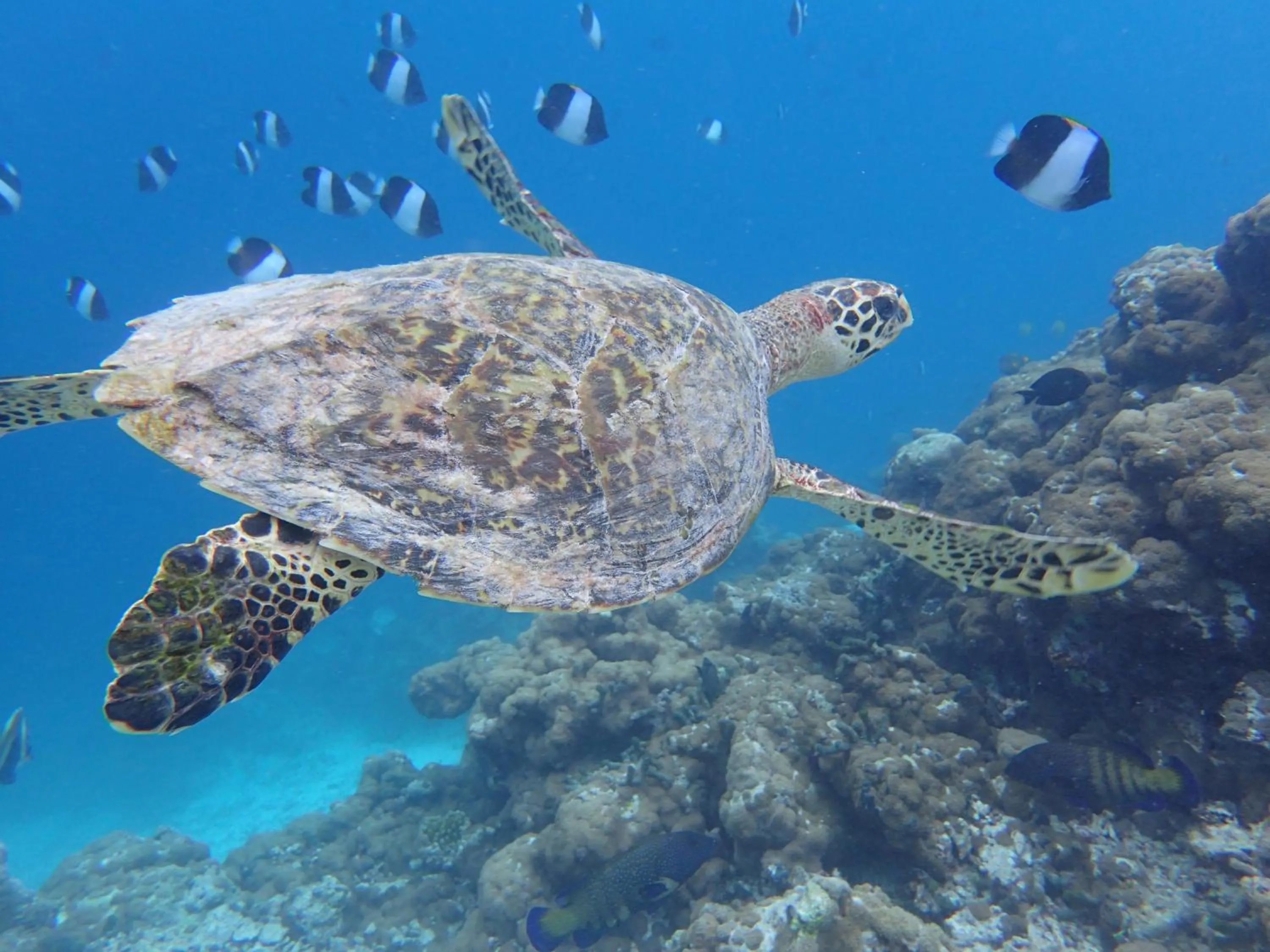 Activities in Nala Veli Beach & Spa