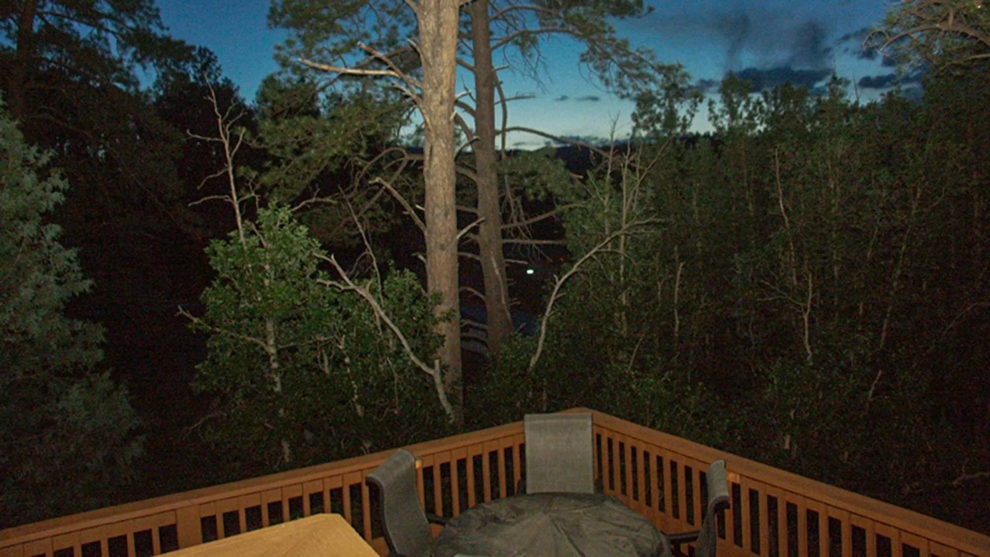 Tanglewood, Cabin at Ruidoso, with Forest View