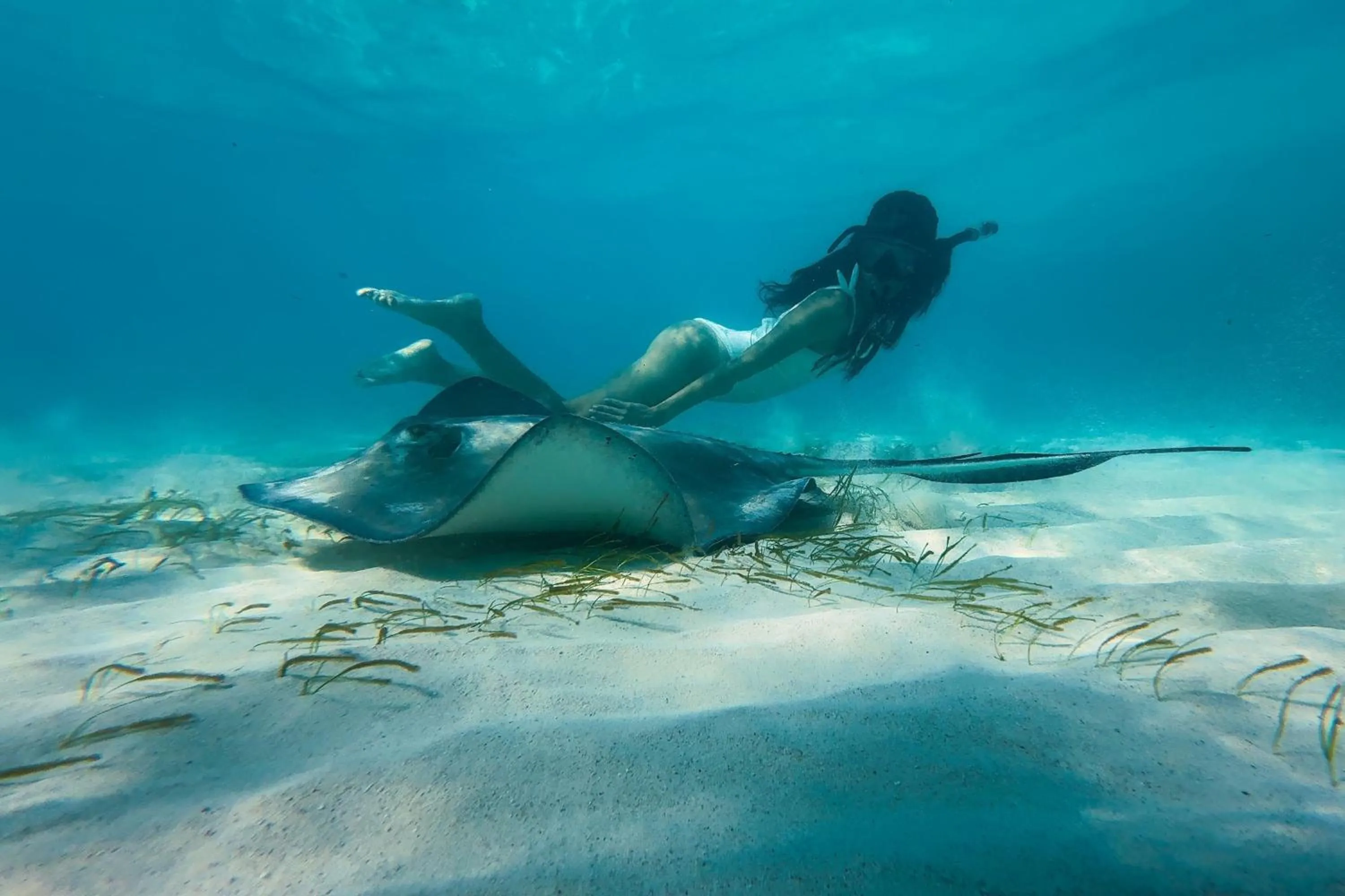 Other in The Ritz-Carlton, Grand Cayman