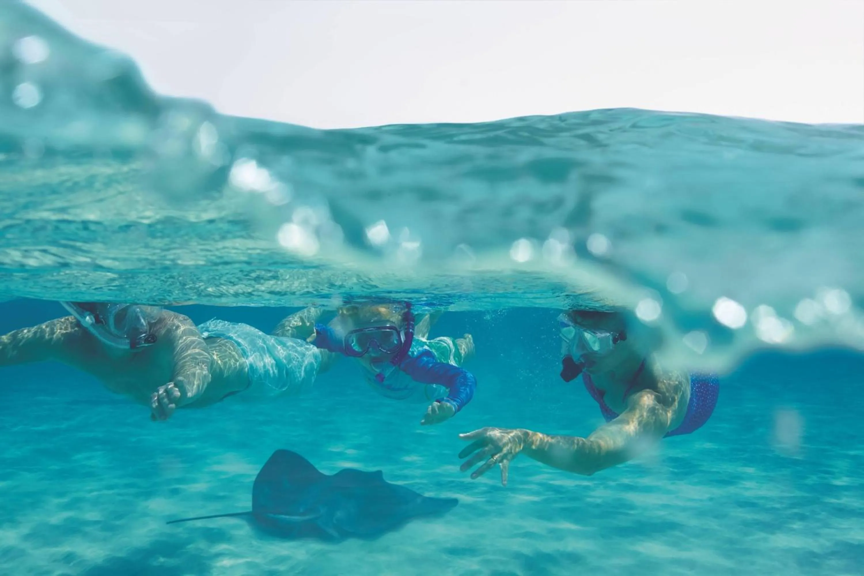 Other in The Ritz-Carlton, Grand Cayman