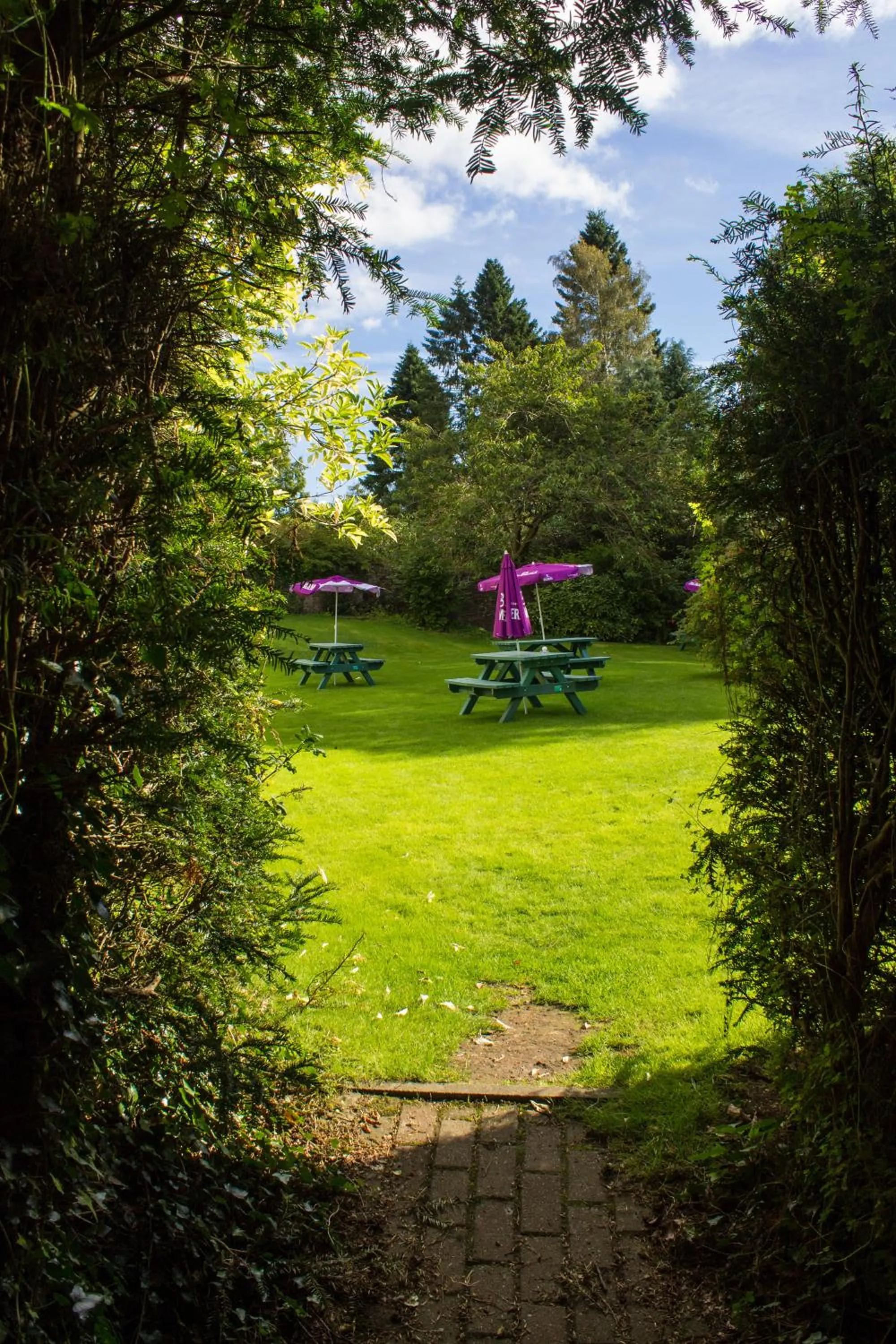 Garden in The Murray Park Hotel