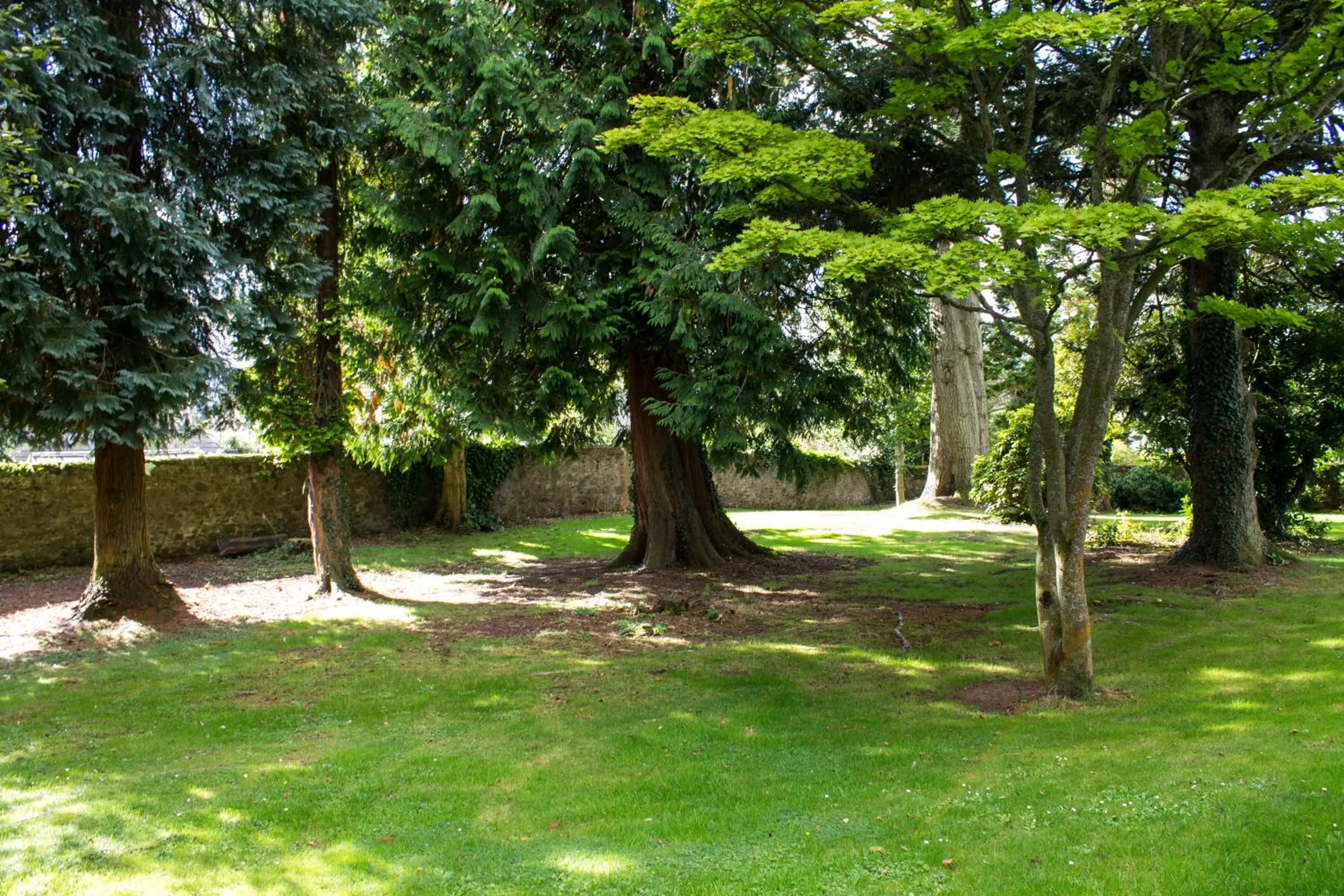 Garden in The Murray Park Hotel