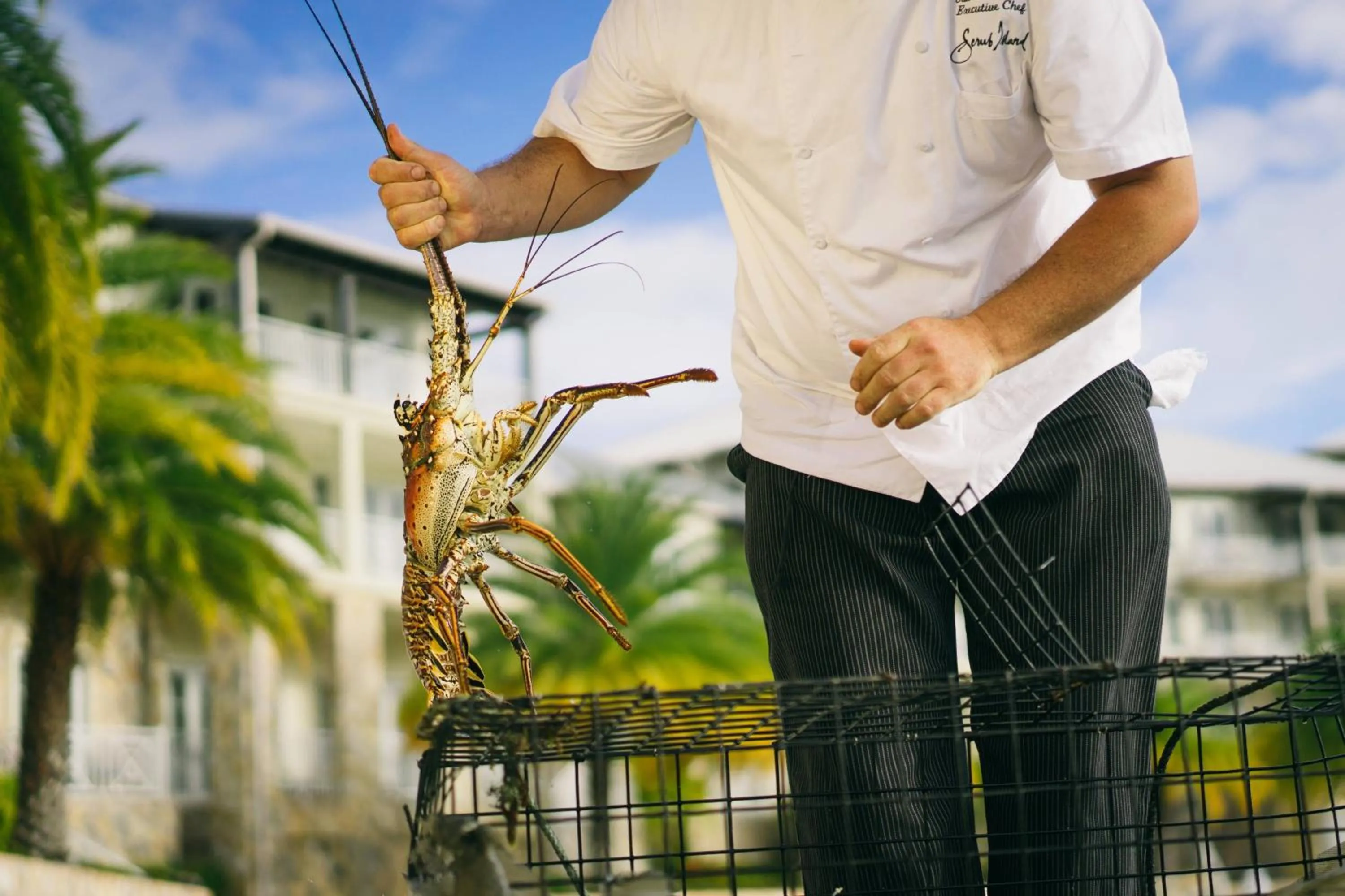 Restaurant/places to eat in Scrub Island Resort, Spa & Marina