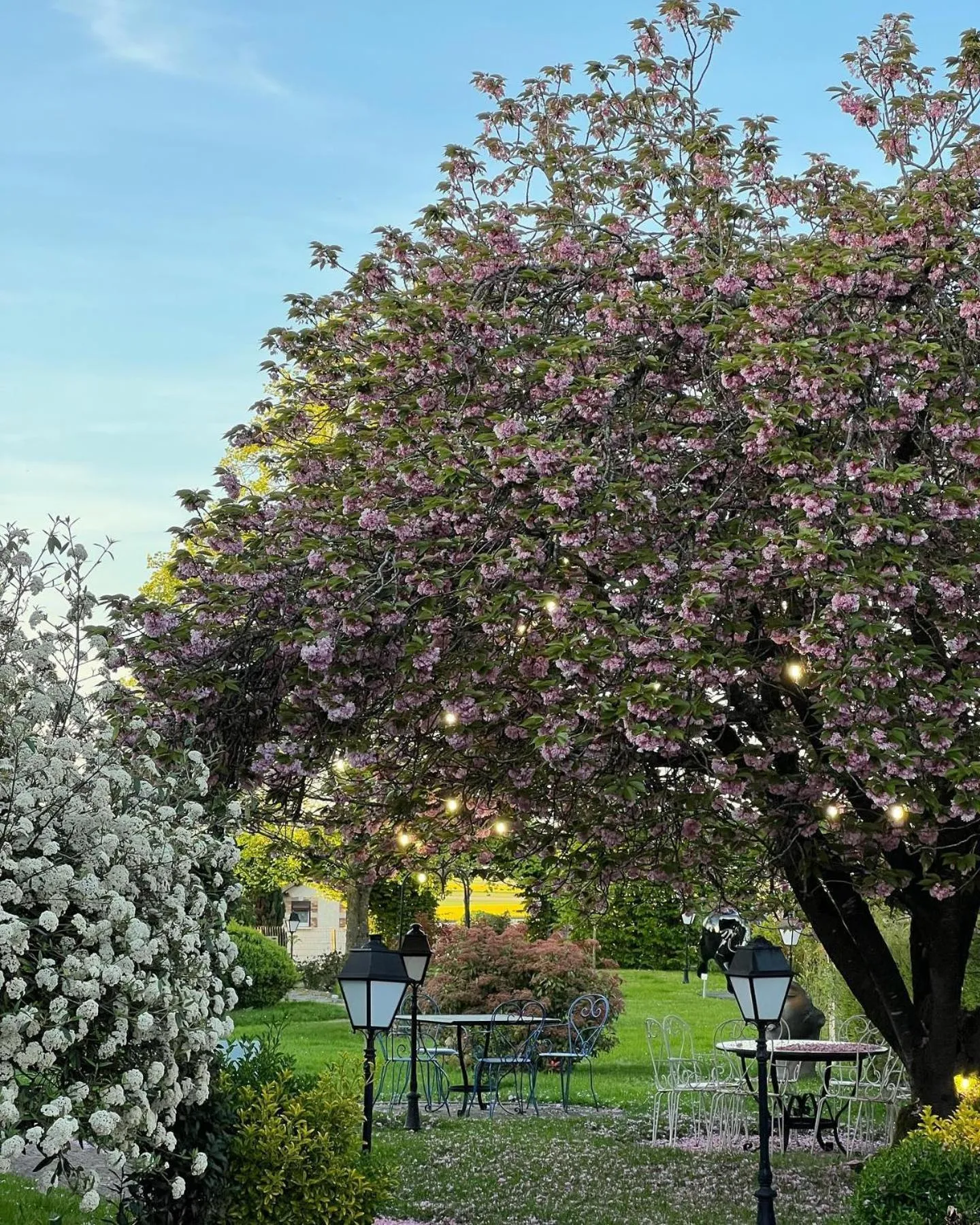 Garden in Armes de Champagne