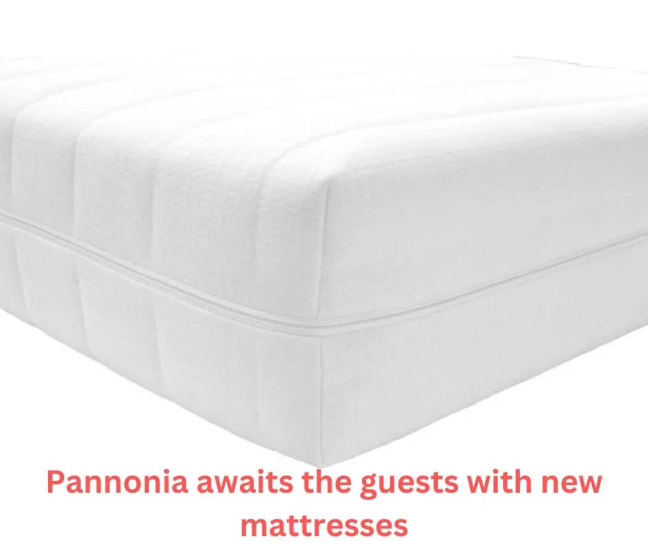 Pannónia Rooms and Apartments