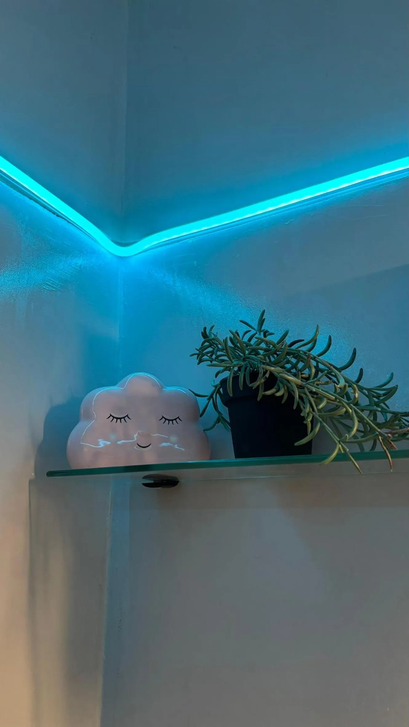 Pannónia Rooms and Apartments