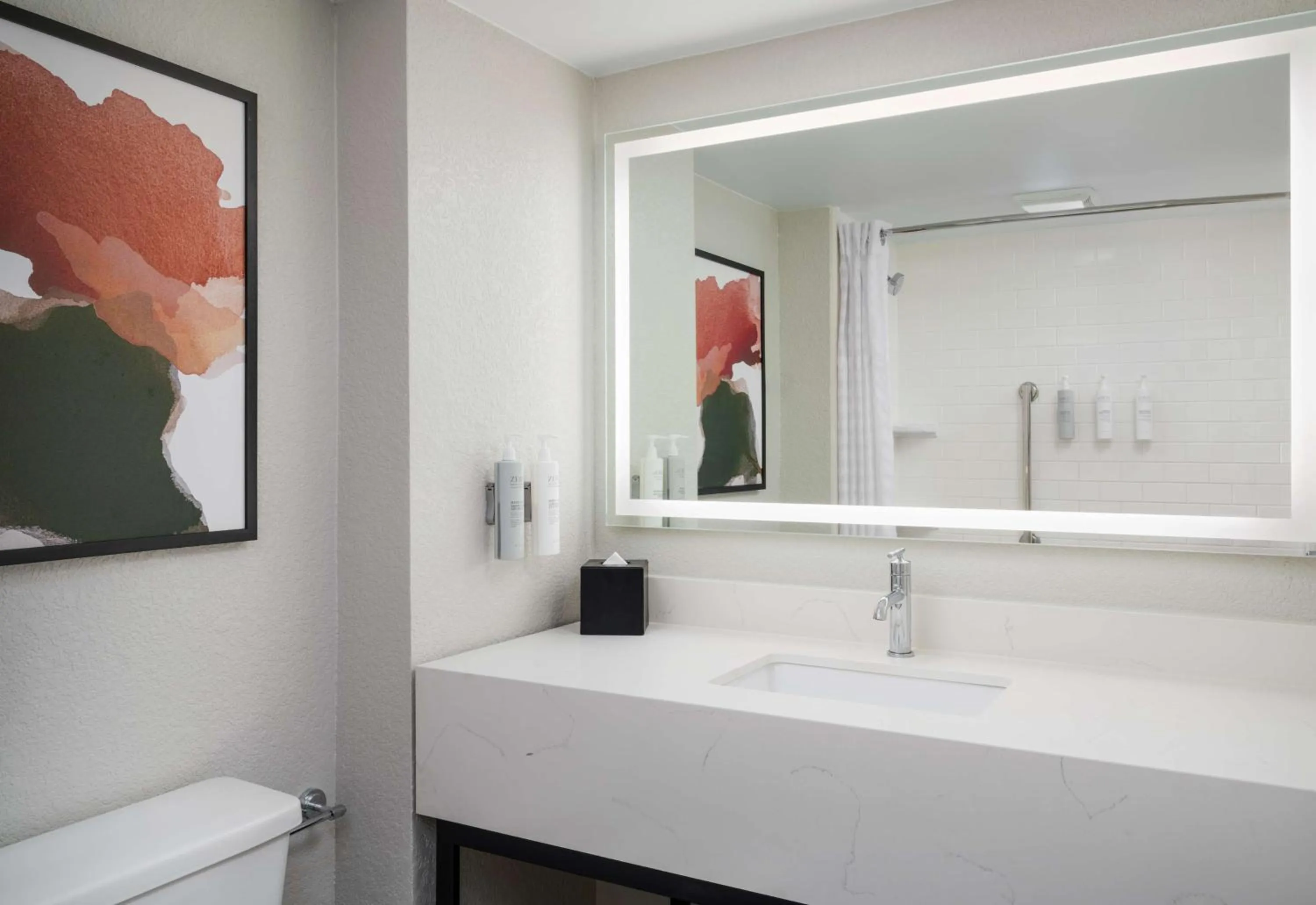 Bathroom in Embassy Suites by Hilton Memphis East Germantown Area