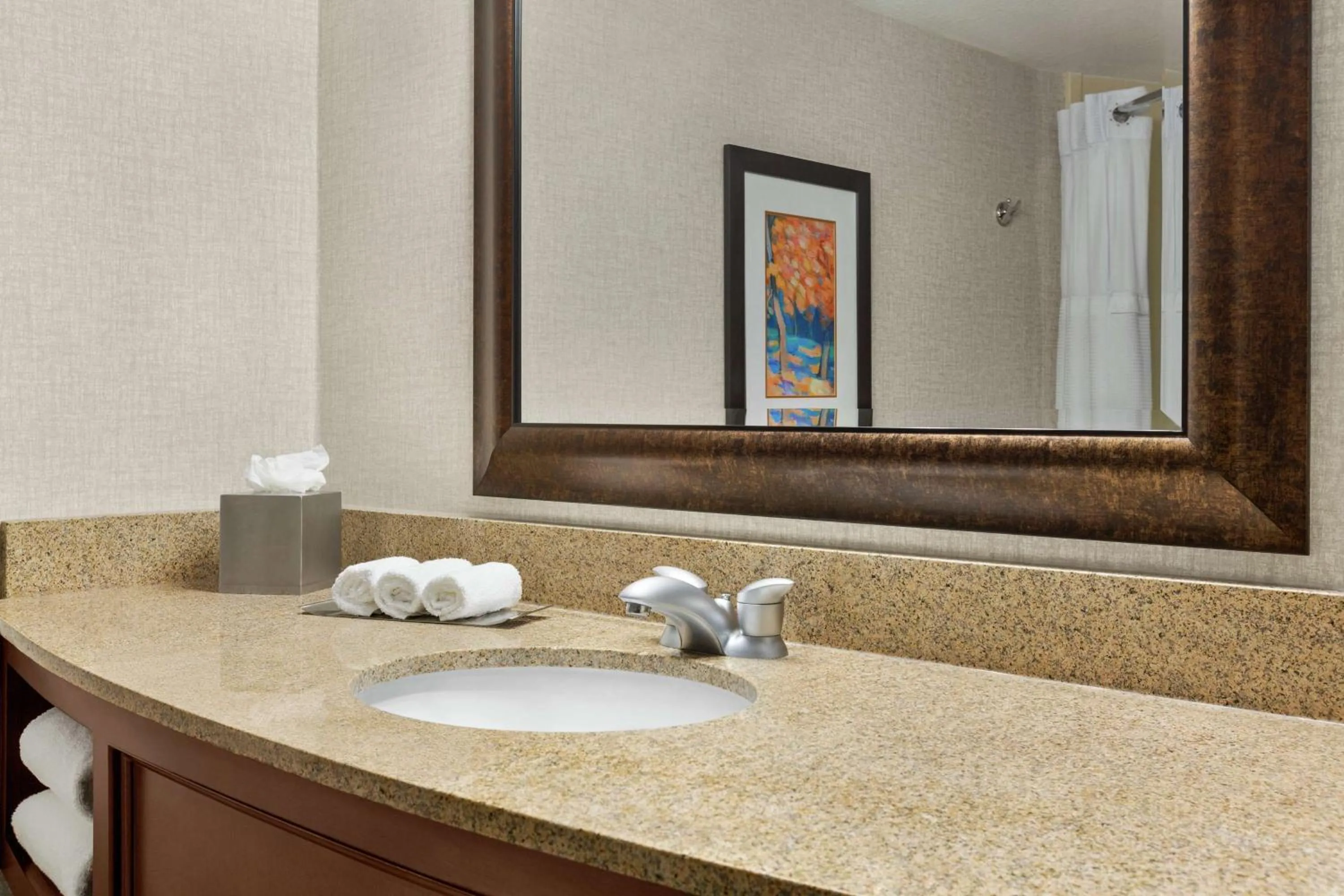 Bathroom in DoubleTree by Hilton Jackson