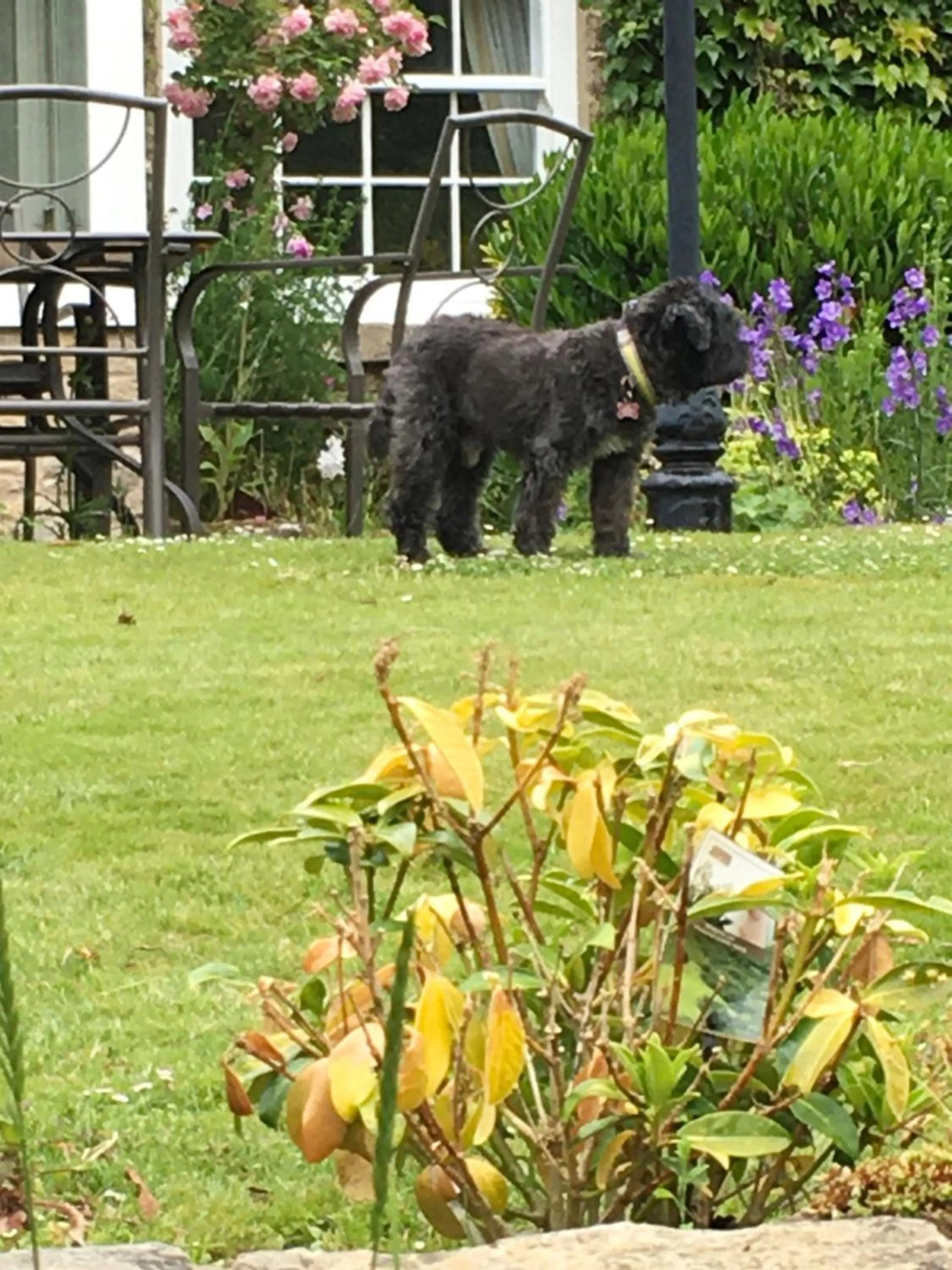 Garden in High Dalby House