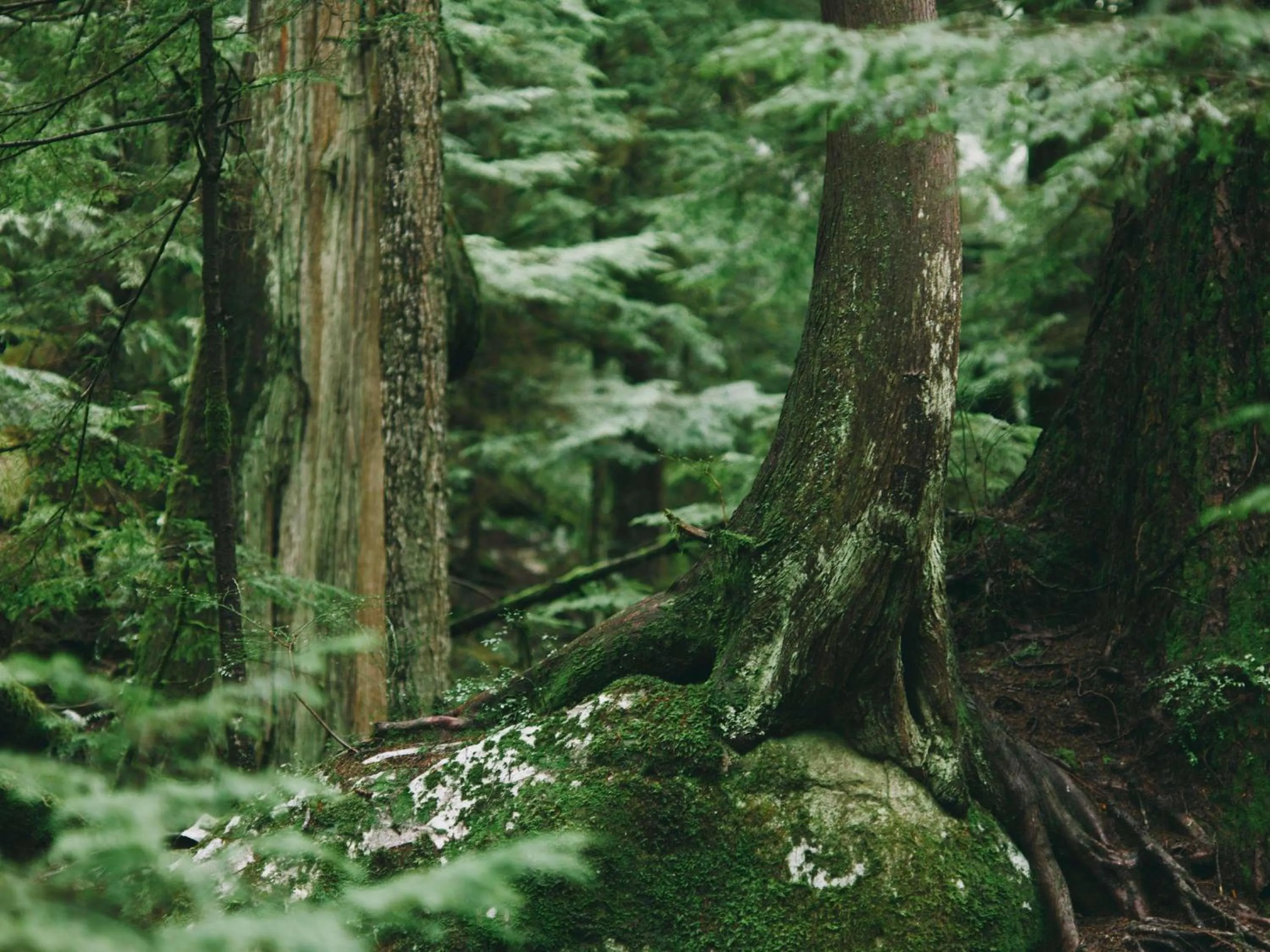 Spa and wellness centre/facilities in Fairmont Empress Hotel