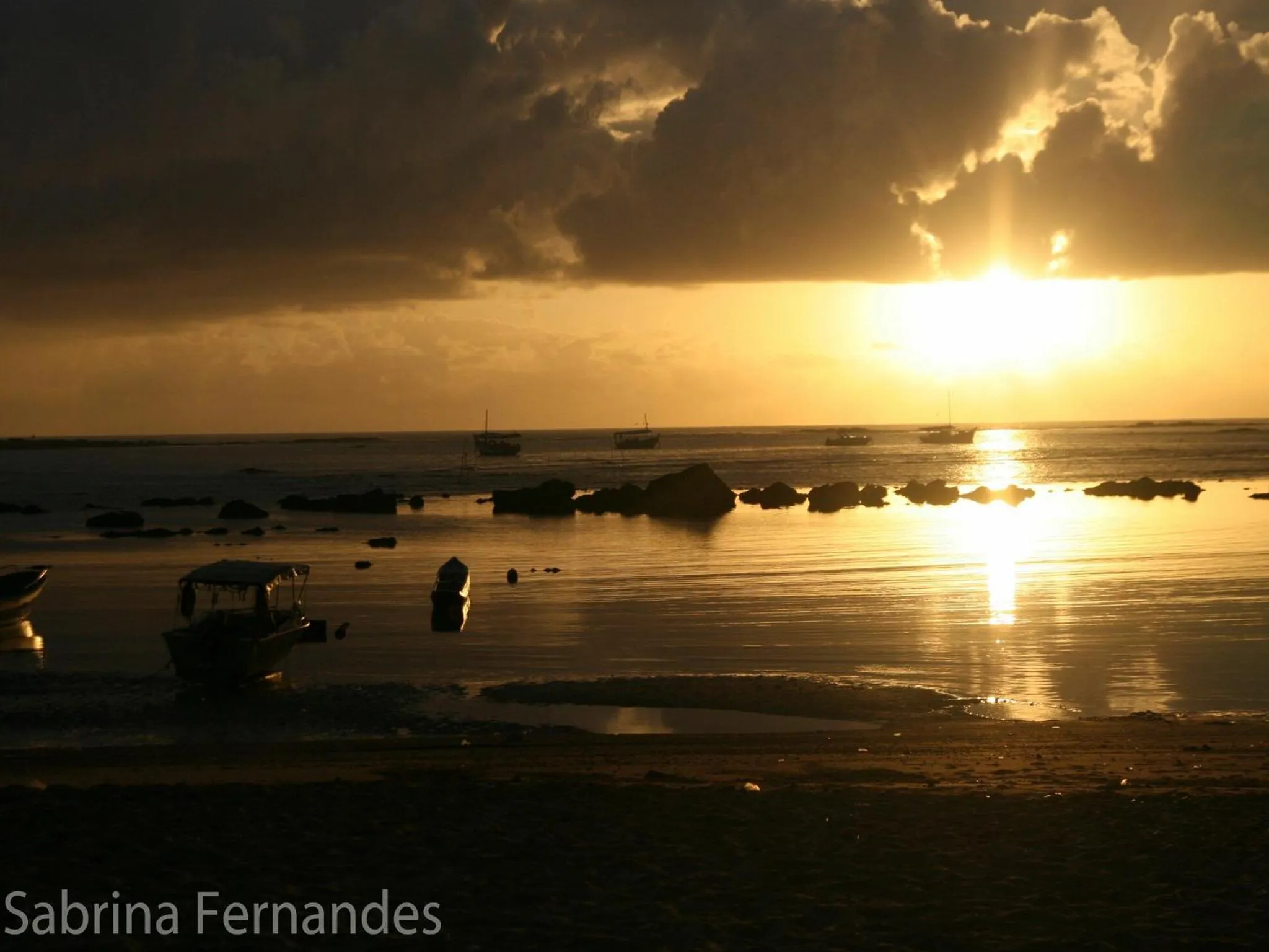 Natural landscape in Le Terrace
