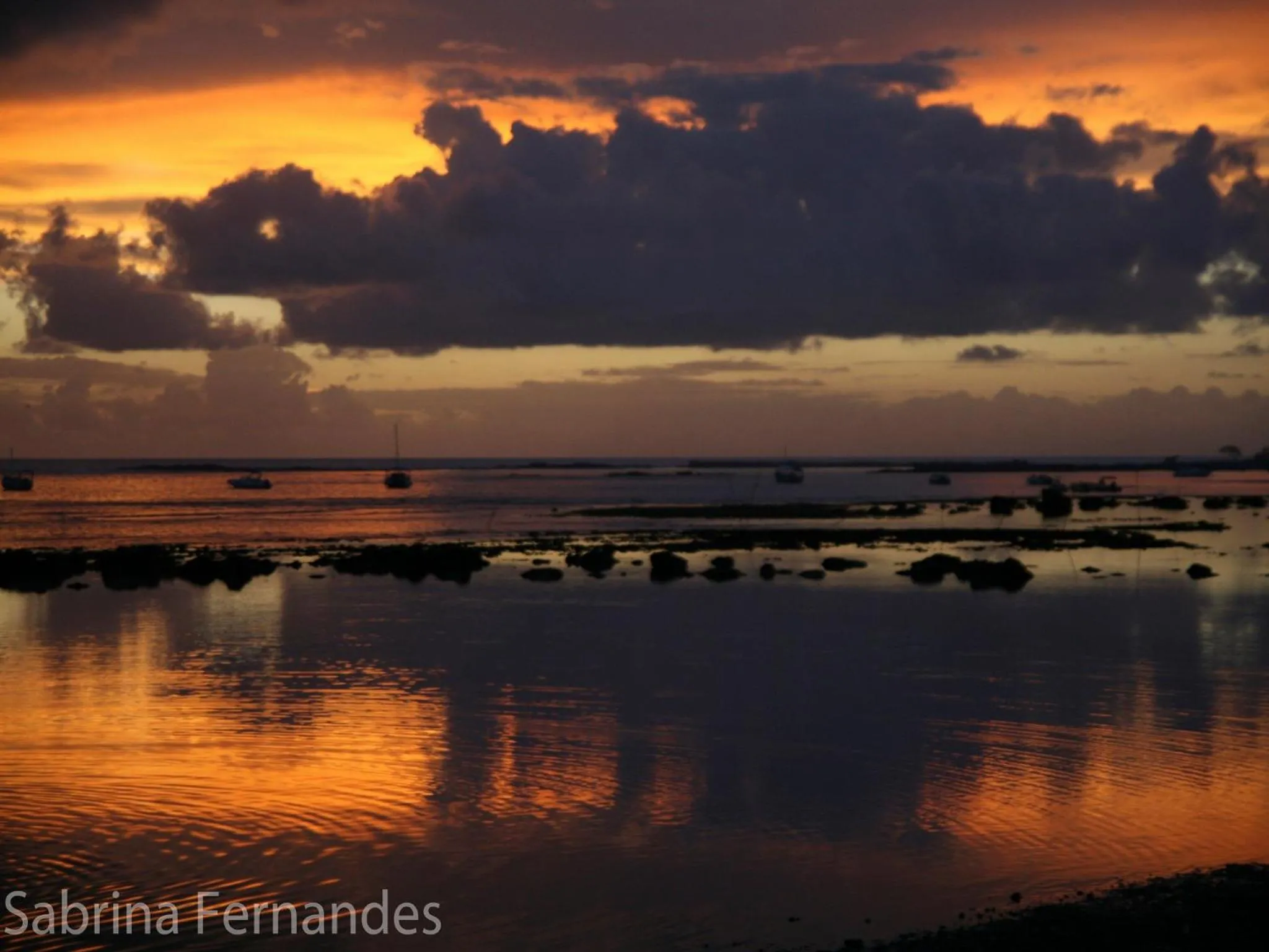 Natural landscape in Le Terrace