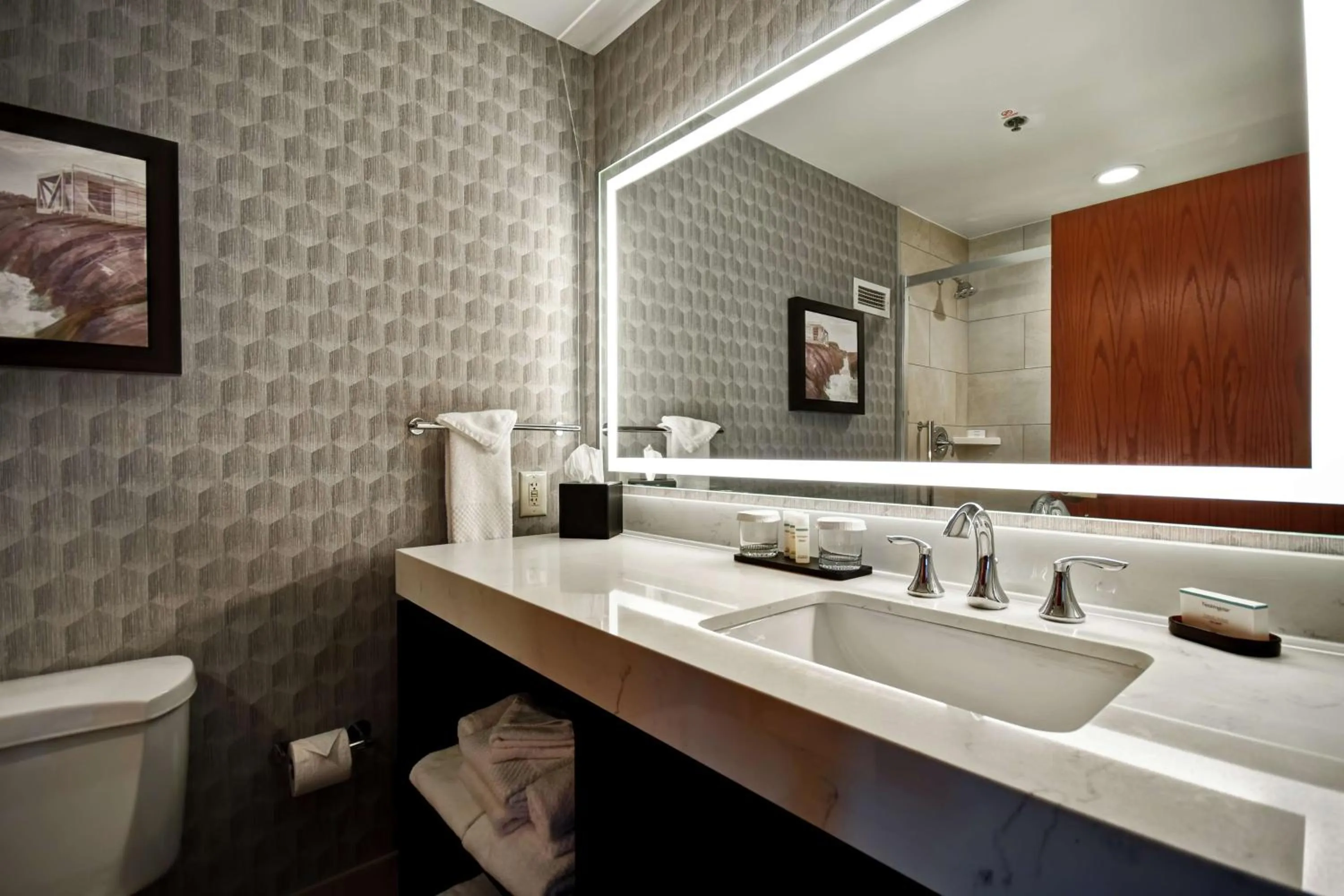 Bathroom in Embassy Suites Little Rock