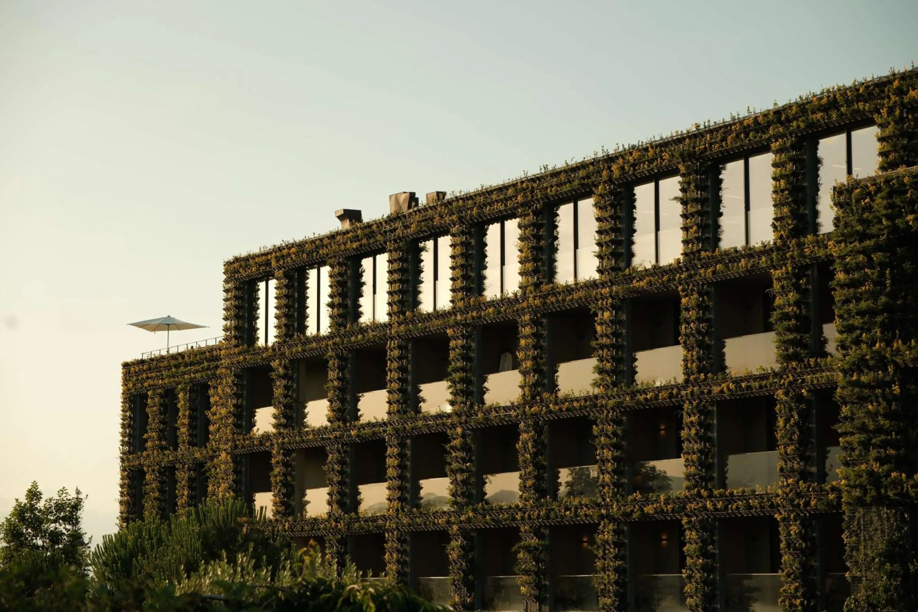 Property building in Tsinandali Estate, A Radisson Collection Hotel