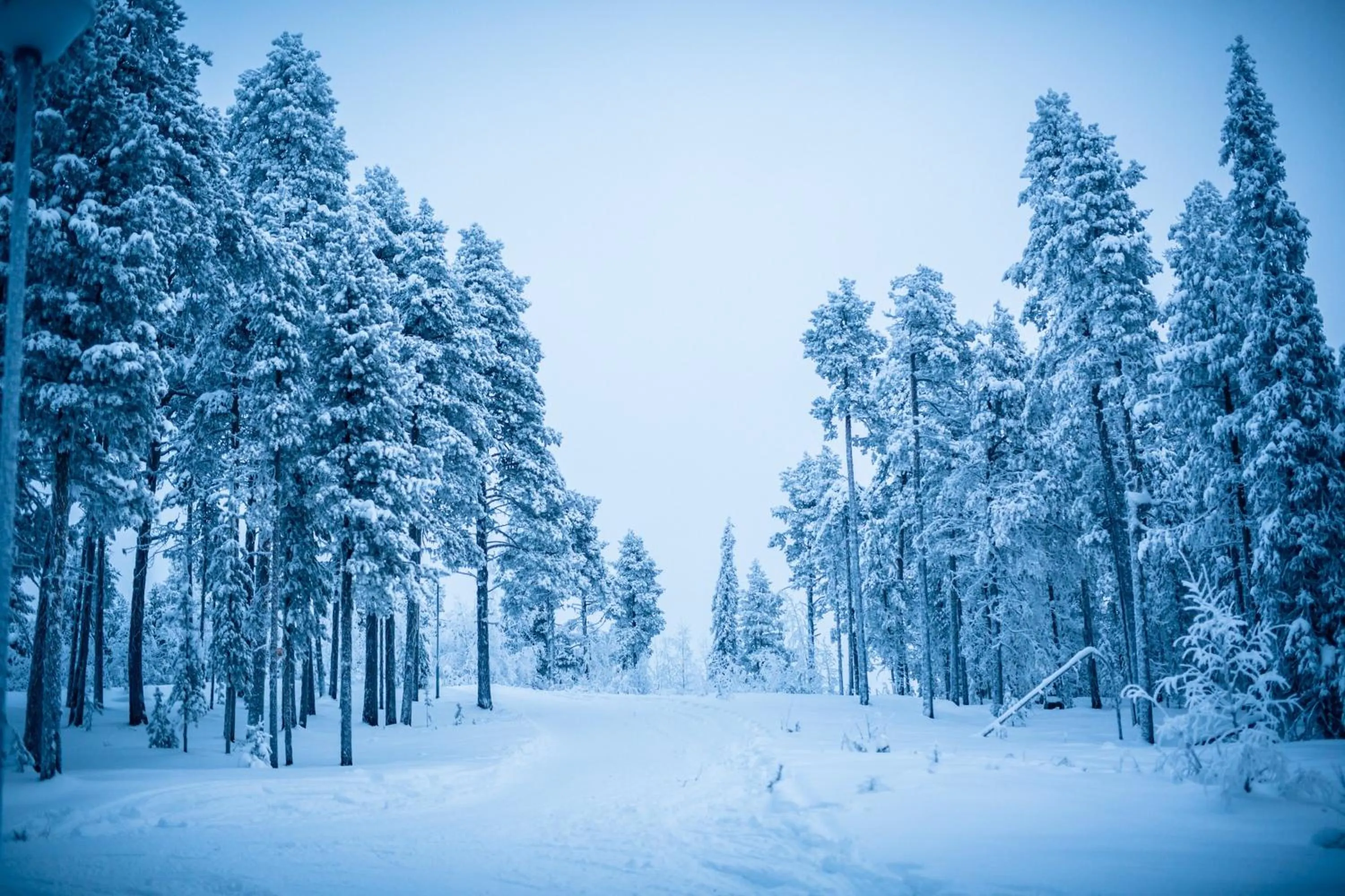 Natural landscape in Jeris Lakeside Resort