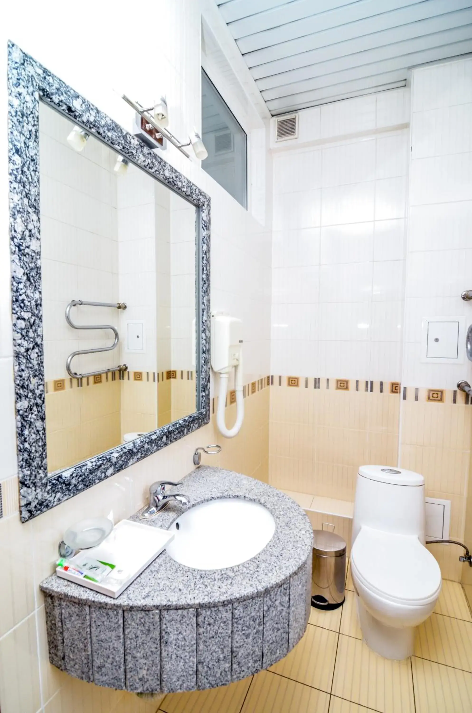 Standard Single Room - single occupancy in Altyn Dala Hotel Standard Single Room - single occupancy in Altyn Dala Hotel