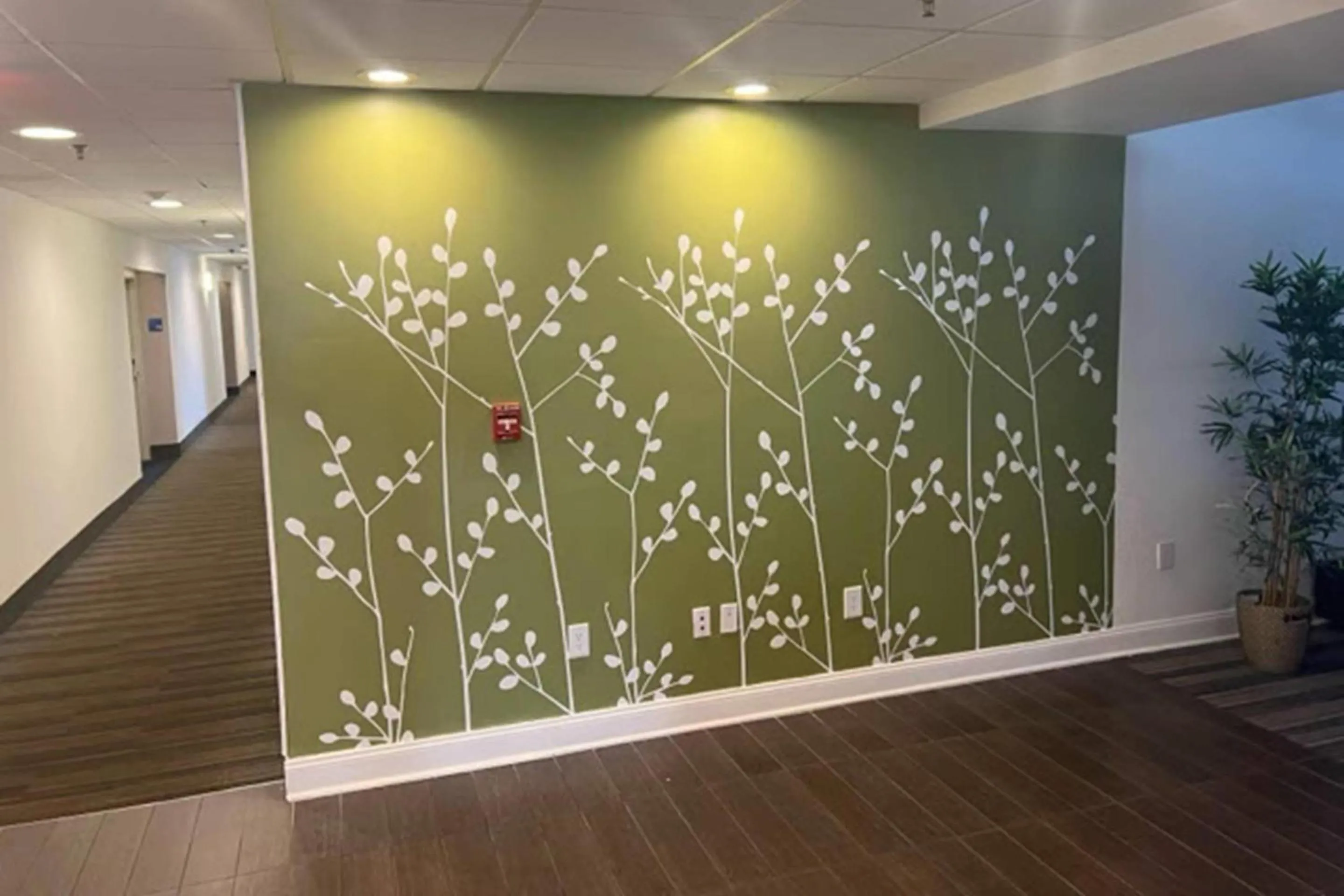 Lobby or reception in Sleep Inn & Suites Memphis Southeast