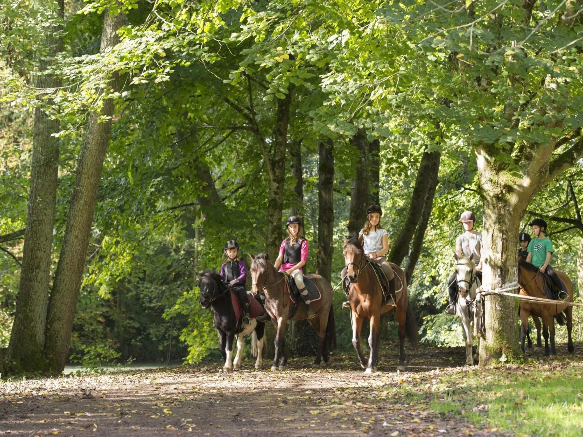 Activities in Gites de Jeand'Heurs