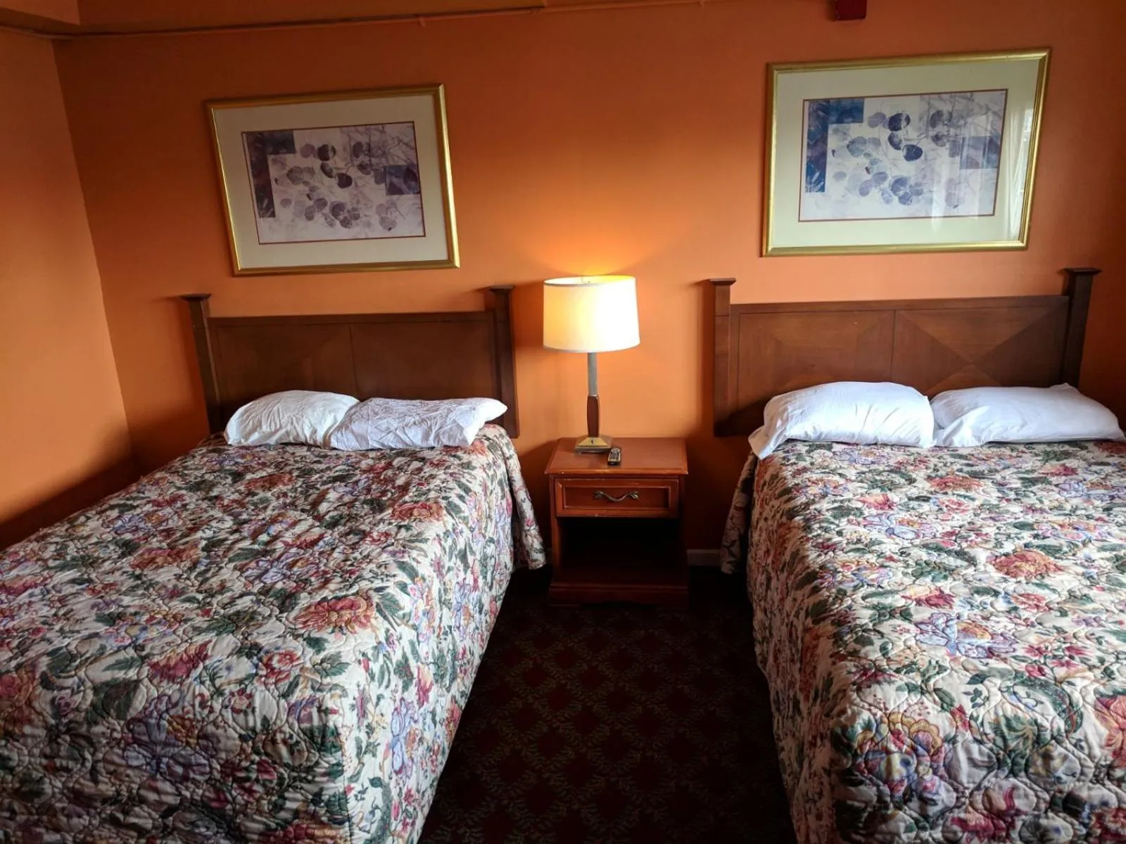 Double Room in Skylark Motel