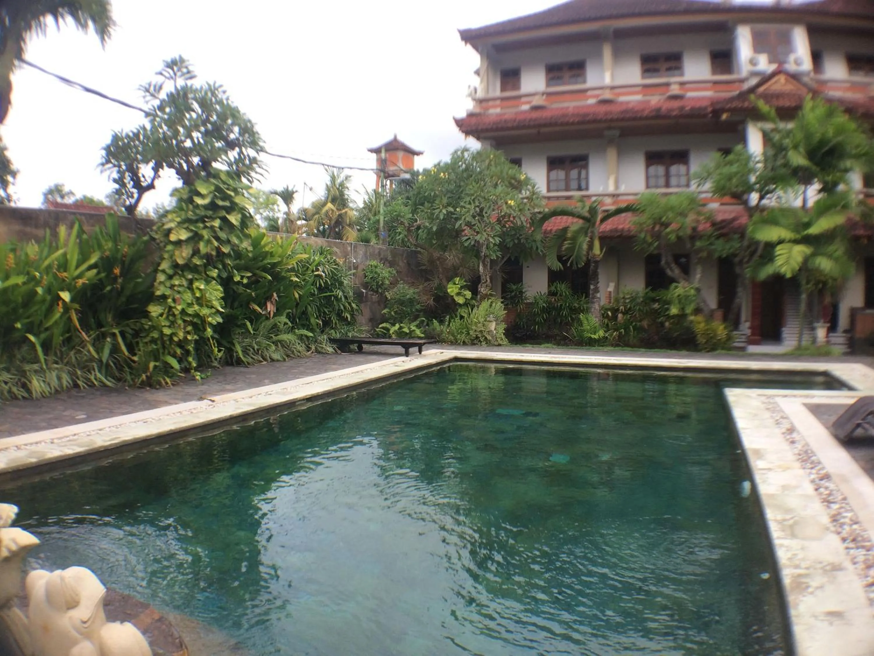 Swimming pool in Mangga Bali Inn