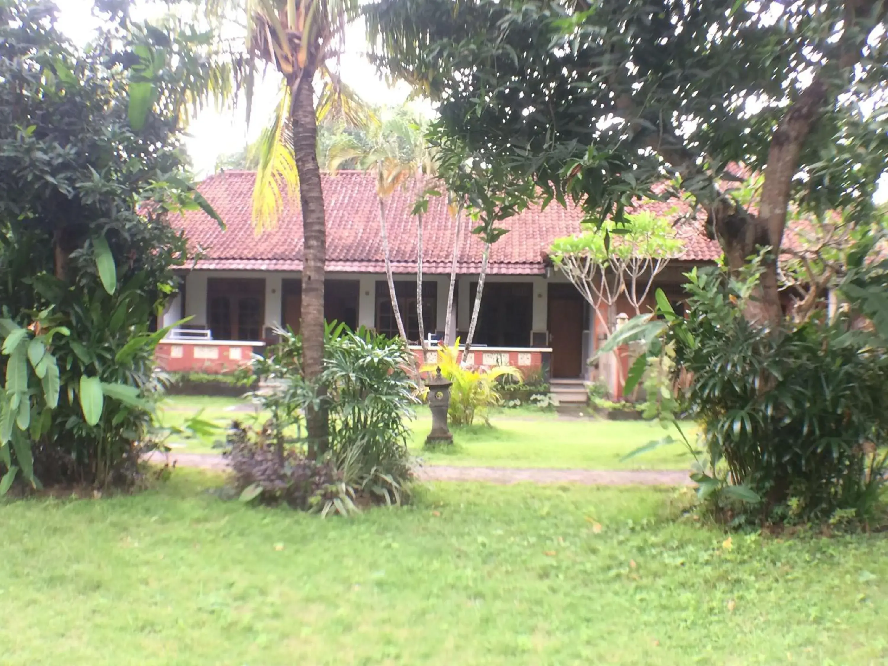 Garden in Mangga Bali Inn