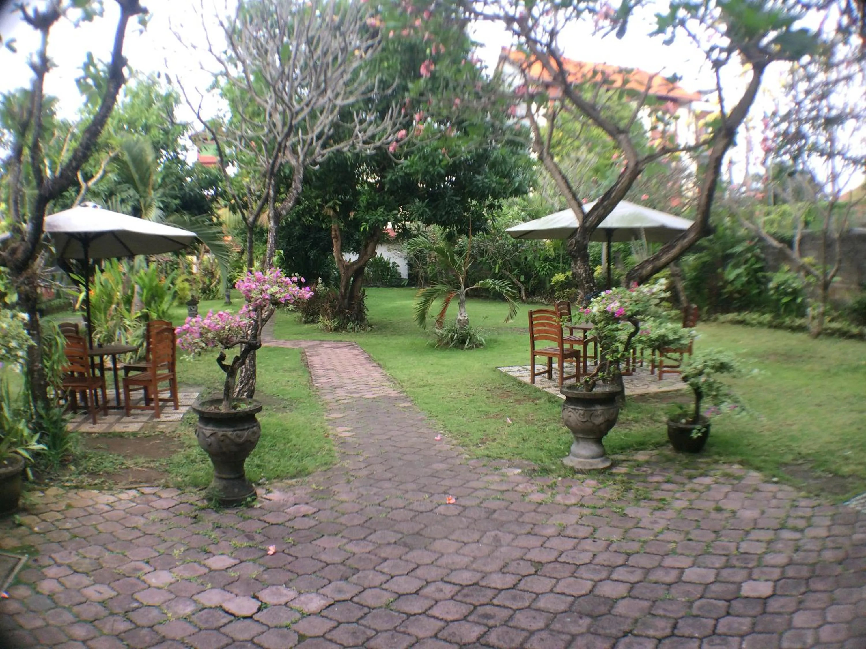 Garden in Mangga Bali Inn