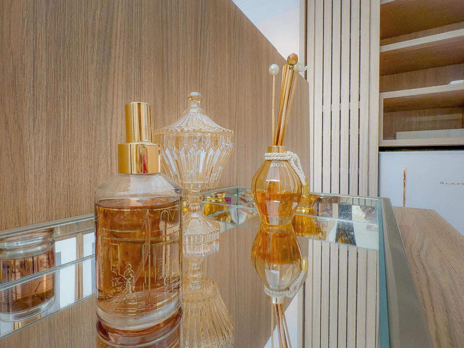 Mont Ararat Alto da Pitinga - Rede Tonziro