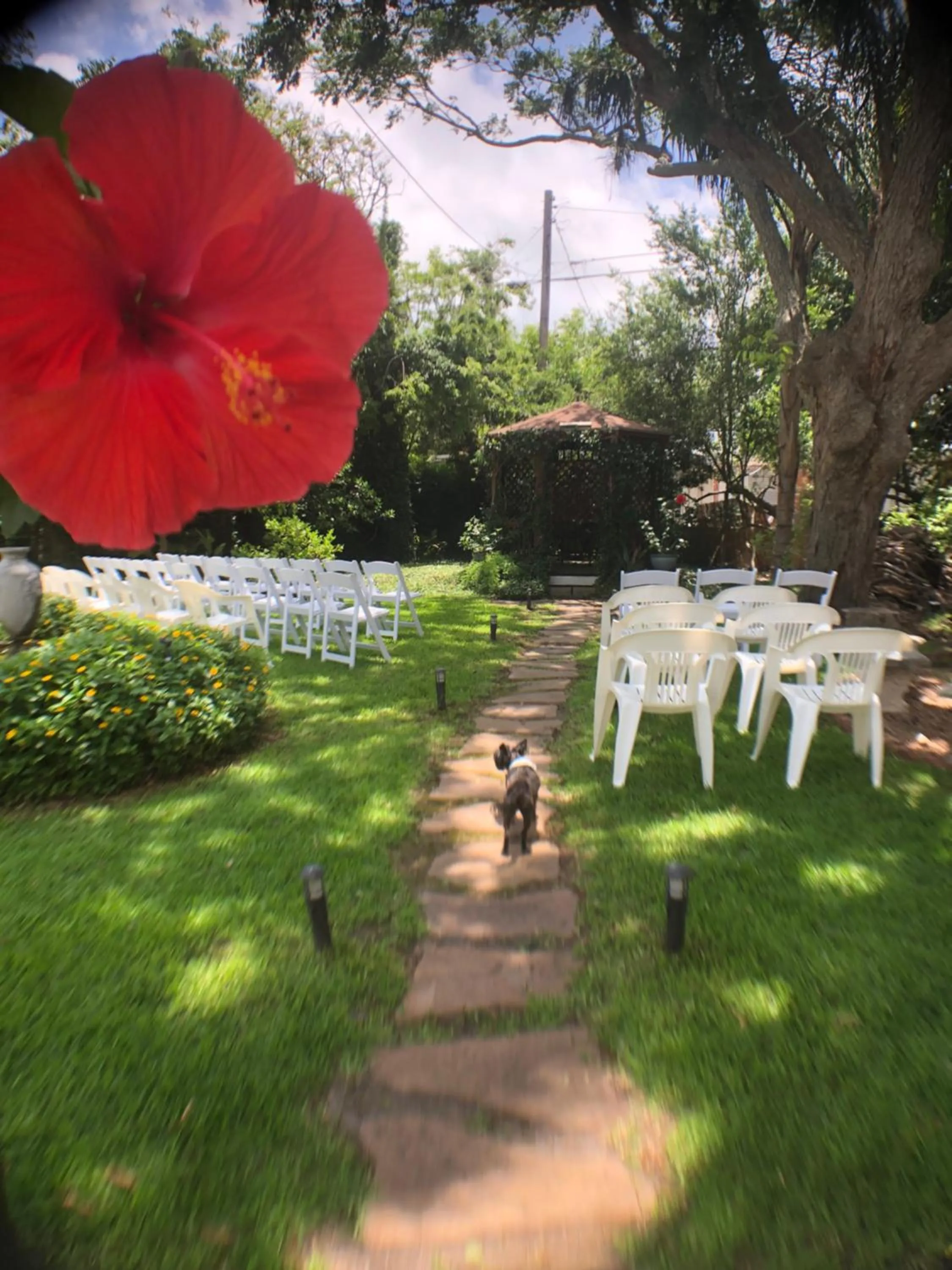 Garden in Avenue O Bed and Breakfast