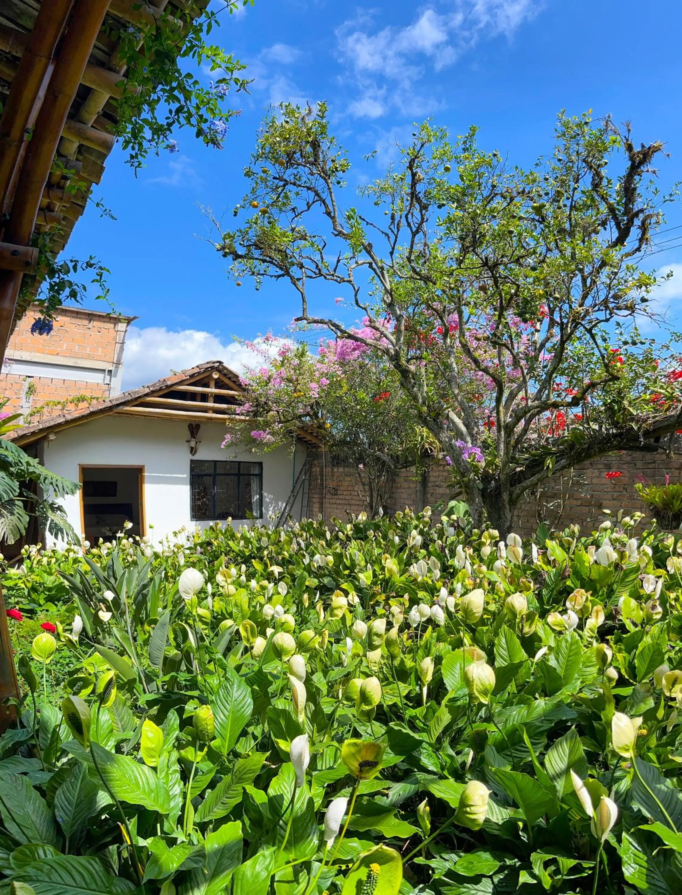 Property building in Casa Carmelita Hotel Boutique Pitalito