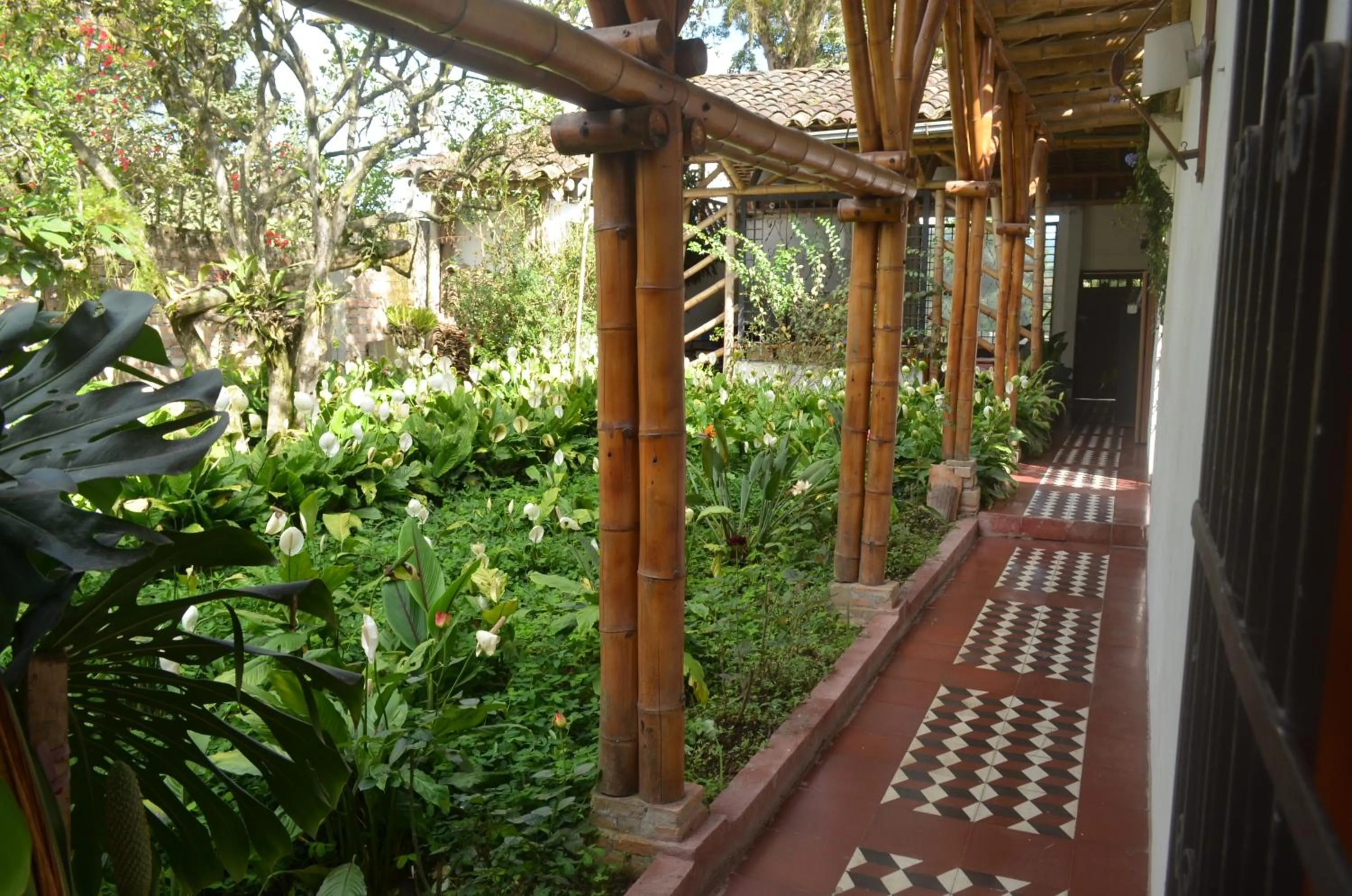 Patio in Casa Carmelita Hotel Boutique Pitalito