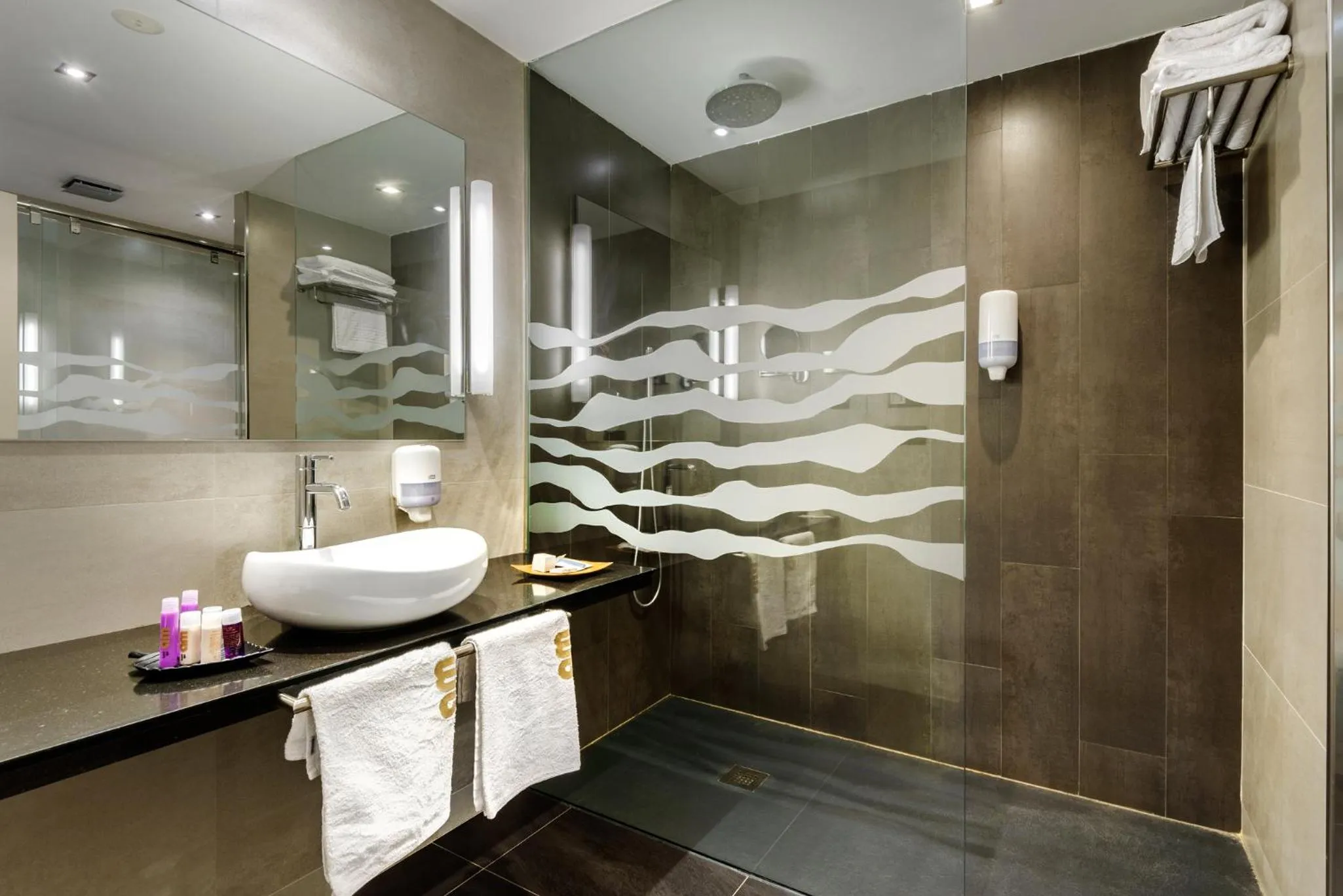 Shower in Hotel Spa Aguas de los Mallos