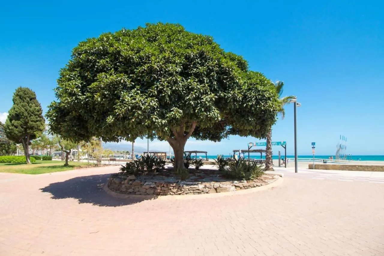 Fabuloso apartamento a 50m de playa centrico