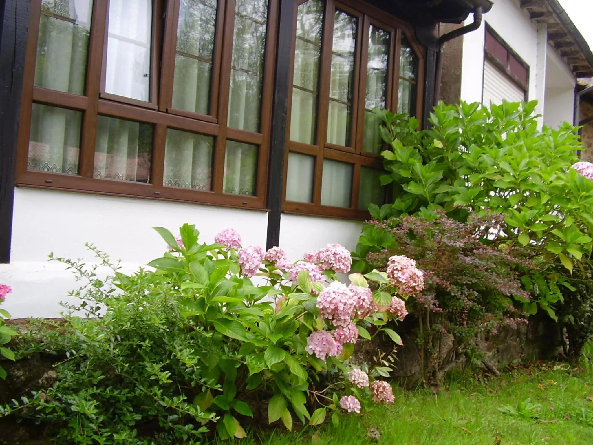 Facade/entrance in Hospedaje Angelica
