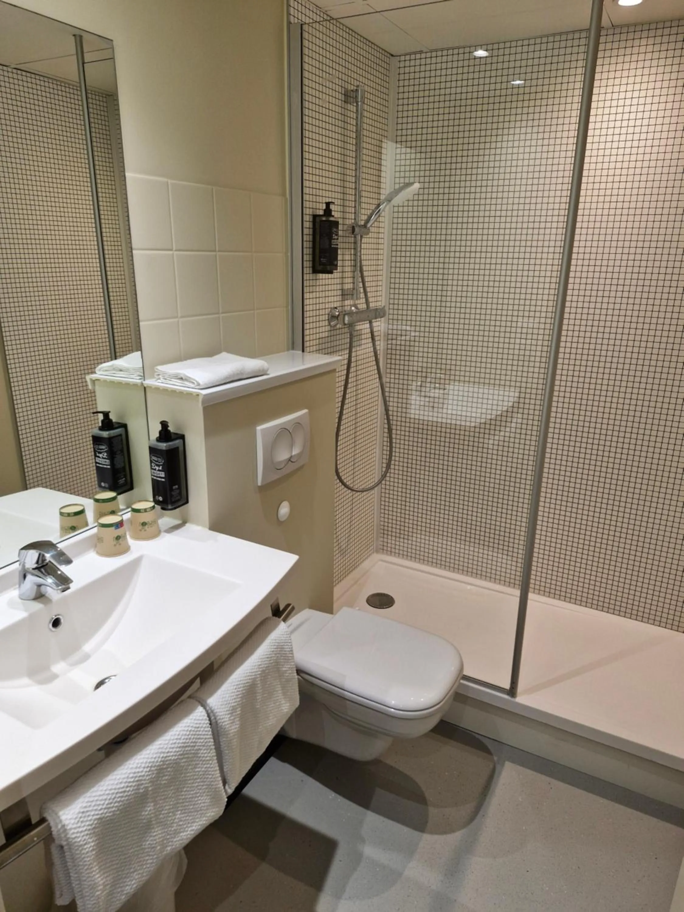 Toilet in ibis budget Saint Dié des Vosges